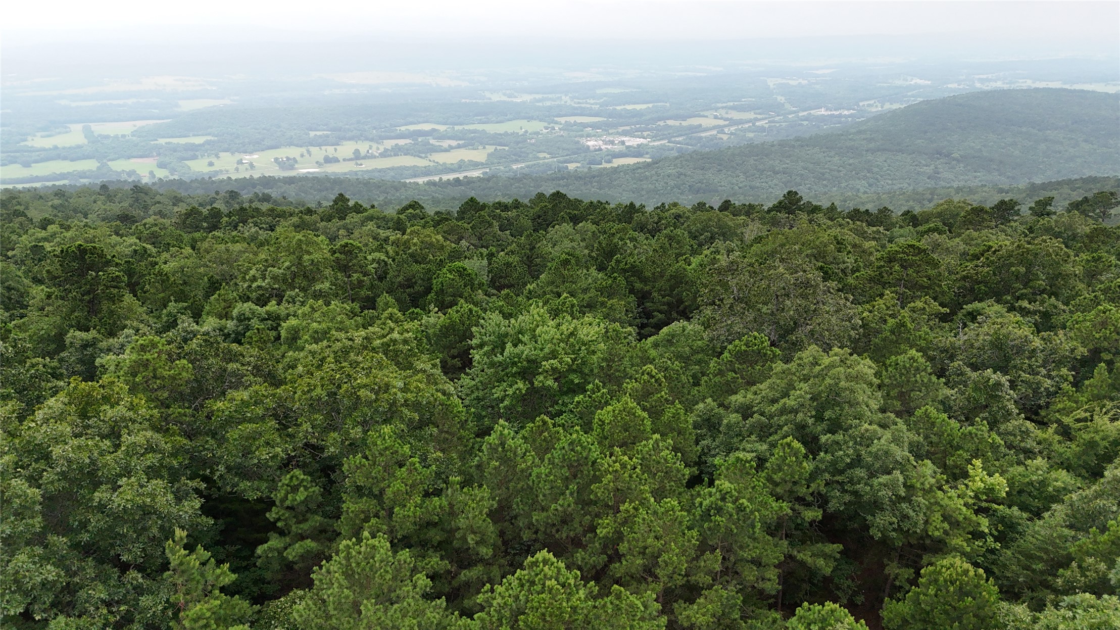 Boggy Mountain Road Property Photo 5