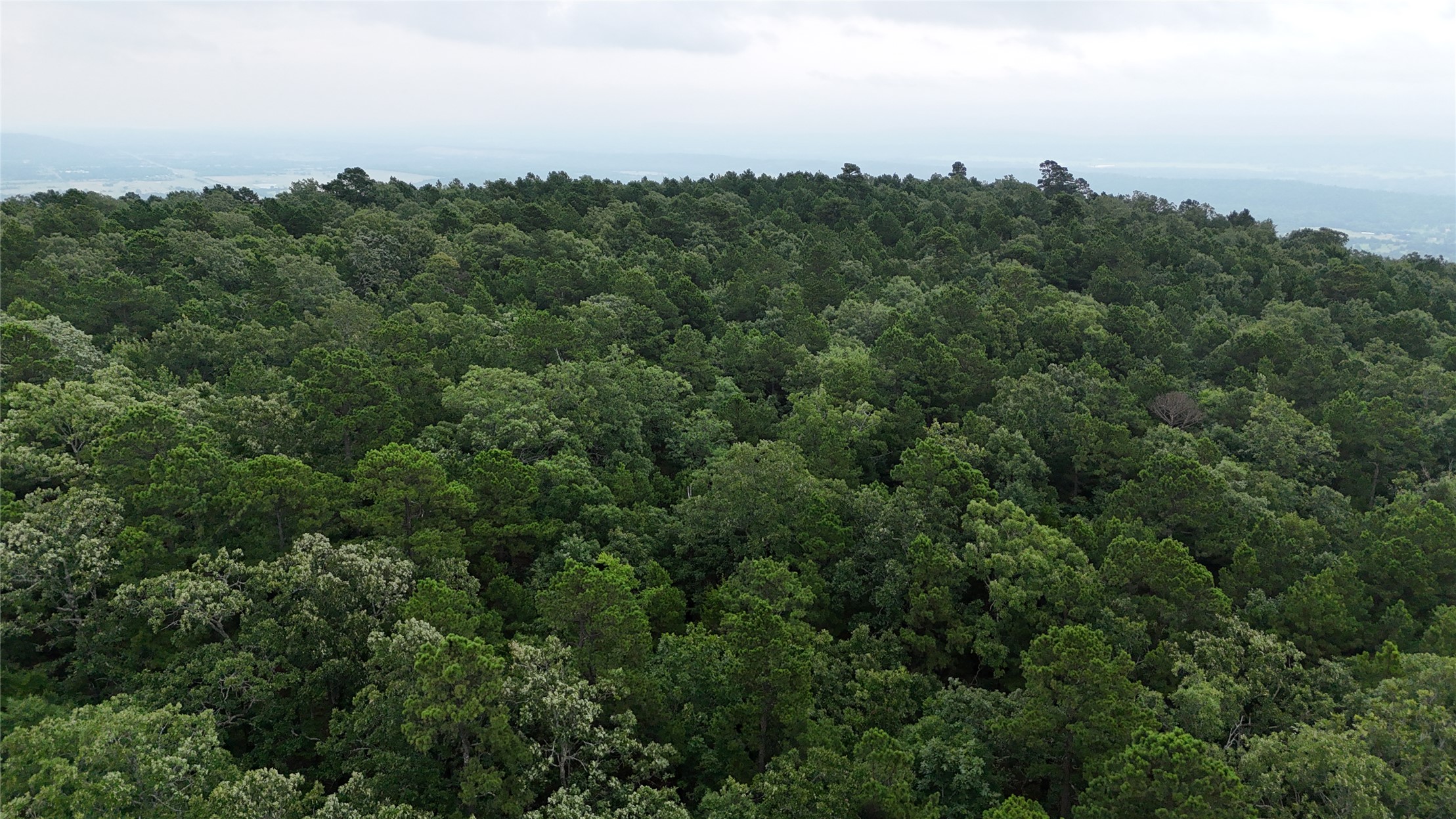Boggy Mountain Road Property Photo 7