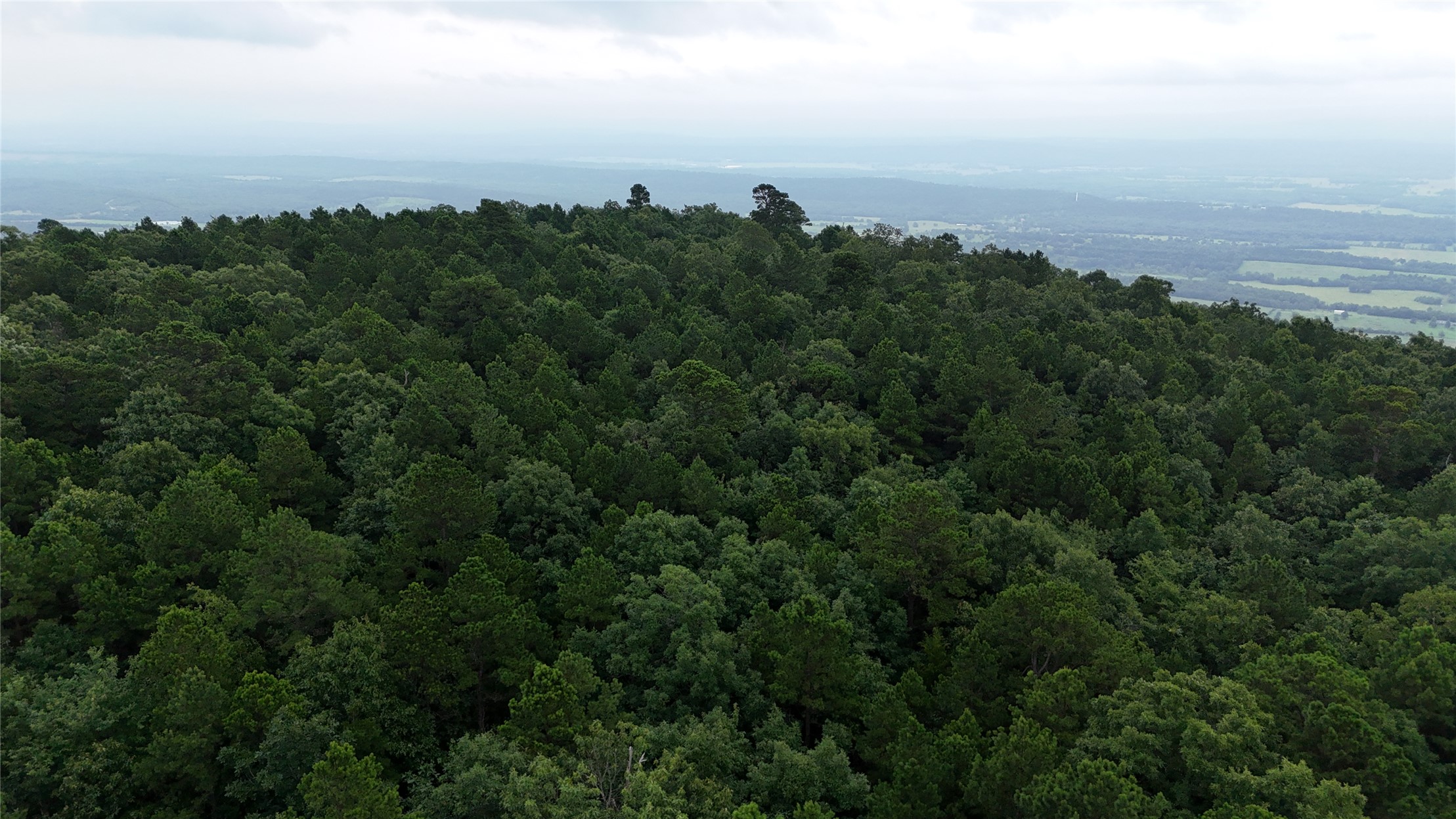 Boggy Mountain Road Property Photo 8
