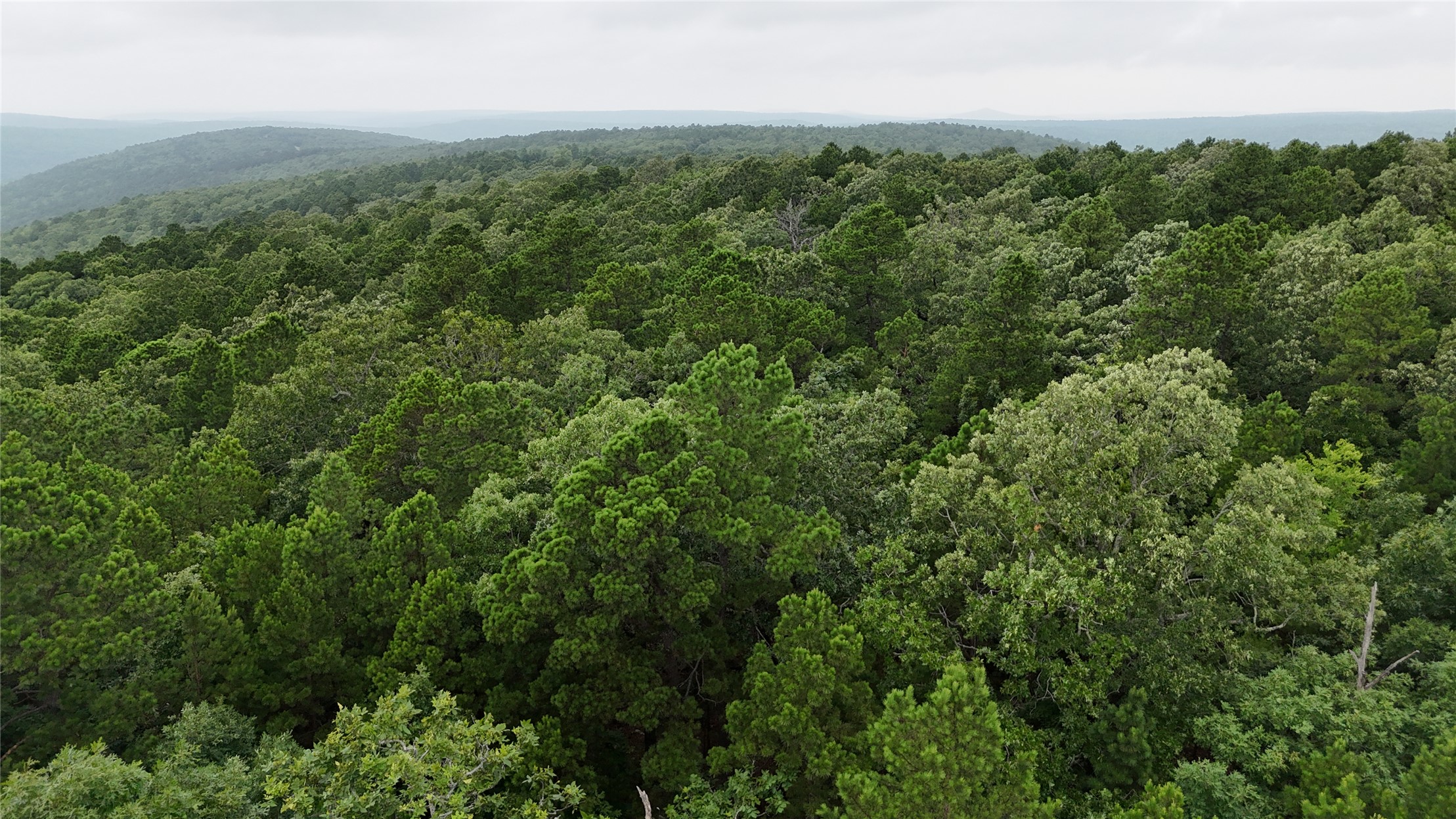 Boggy Mountain Road Property Photo 10