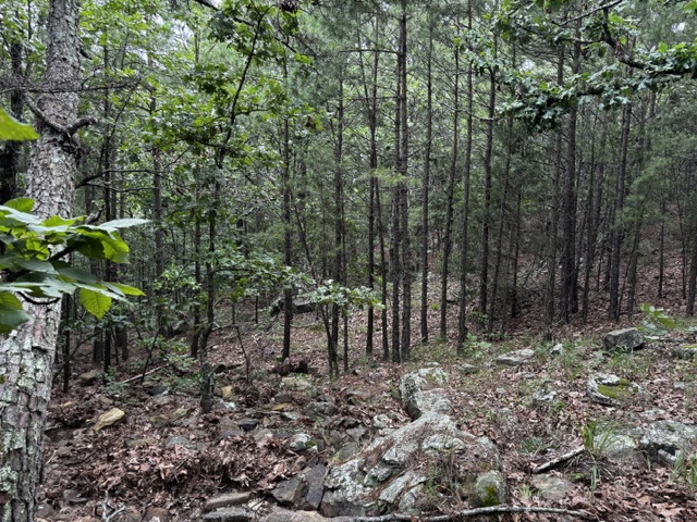 Boggy Mountain Road Property Photo 15