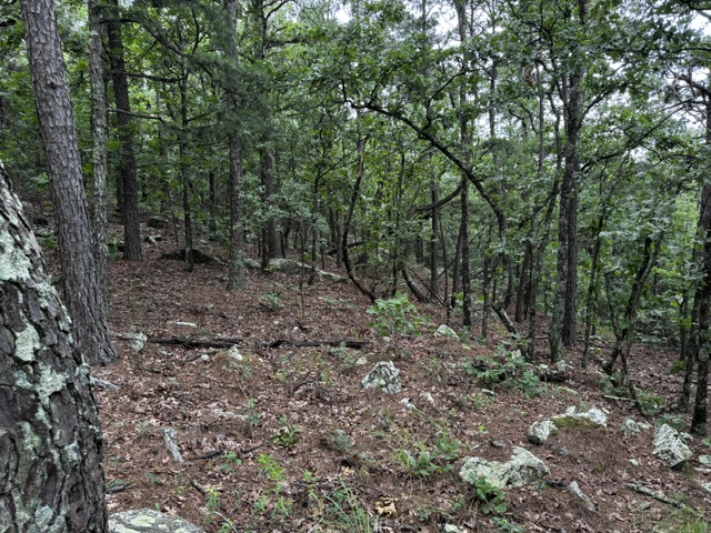 Boggy Mountain Road Property Photo 16