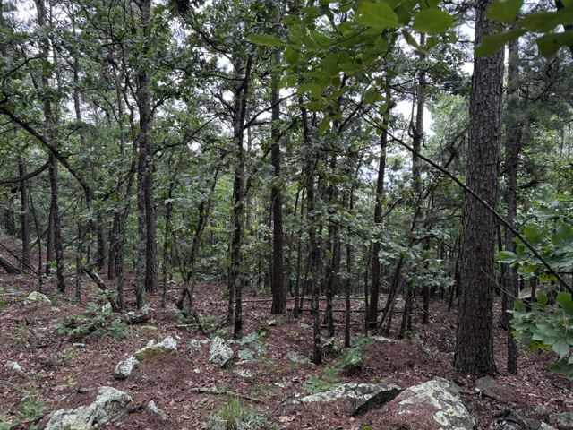 Boggy Mountain Road Property Photo 17
