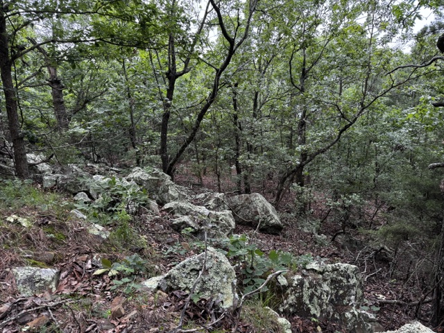 Boggy Mountain Road Property Photo 18