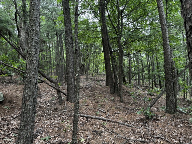 Boggy Mountain Road Property Photo 19