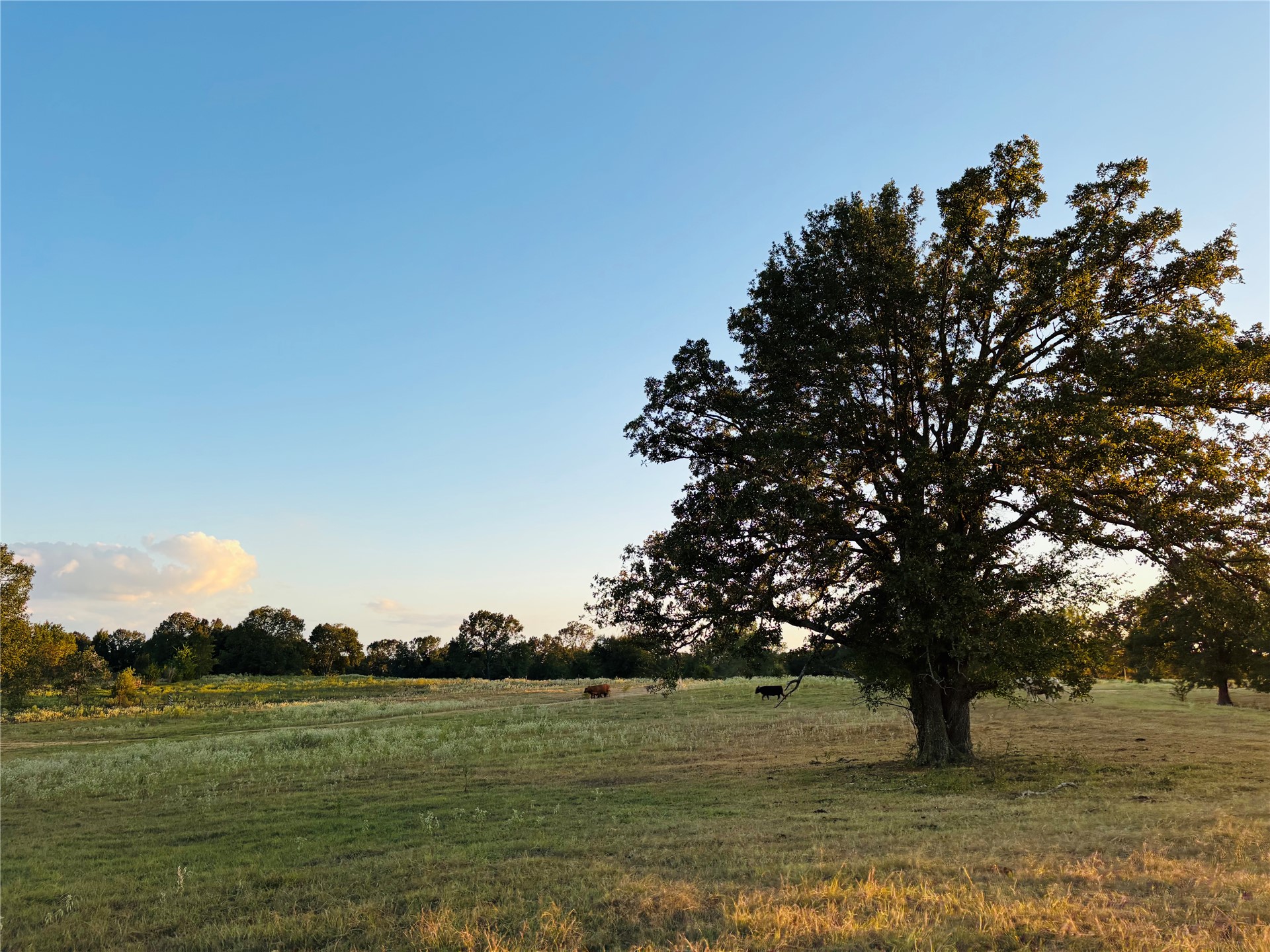 166 N 4084 Road Property Photo 1