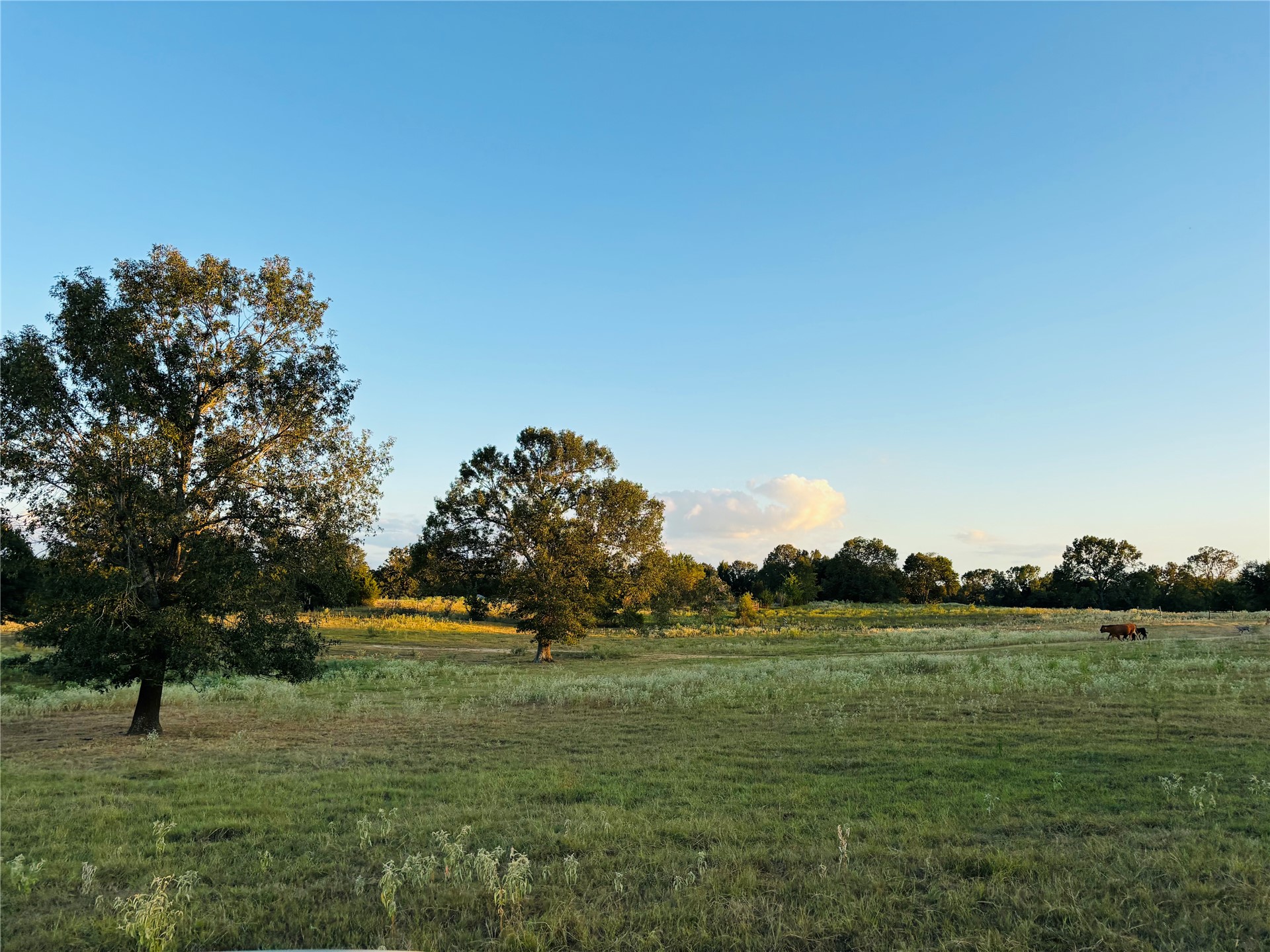 166 N 4084 Road Property Photo 9