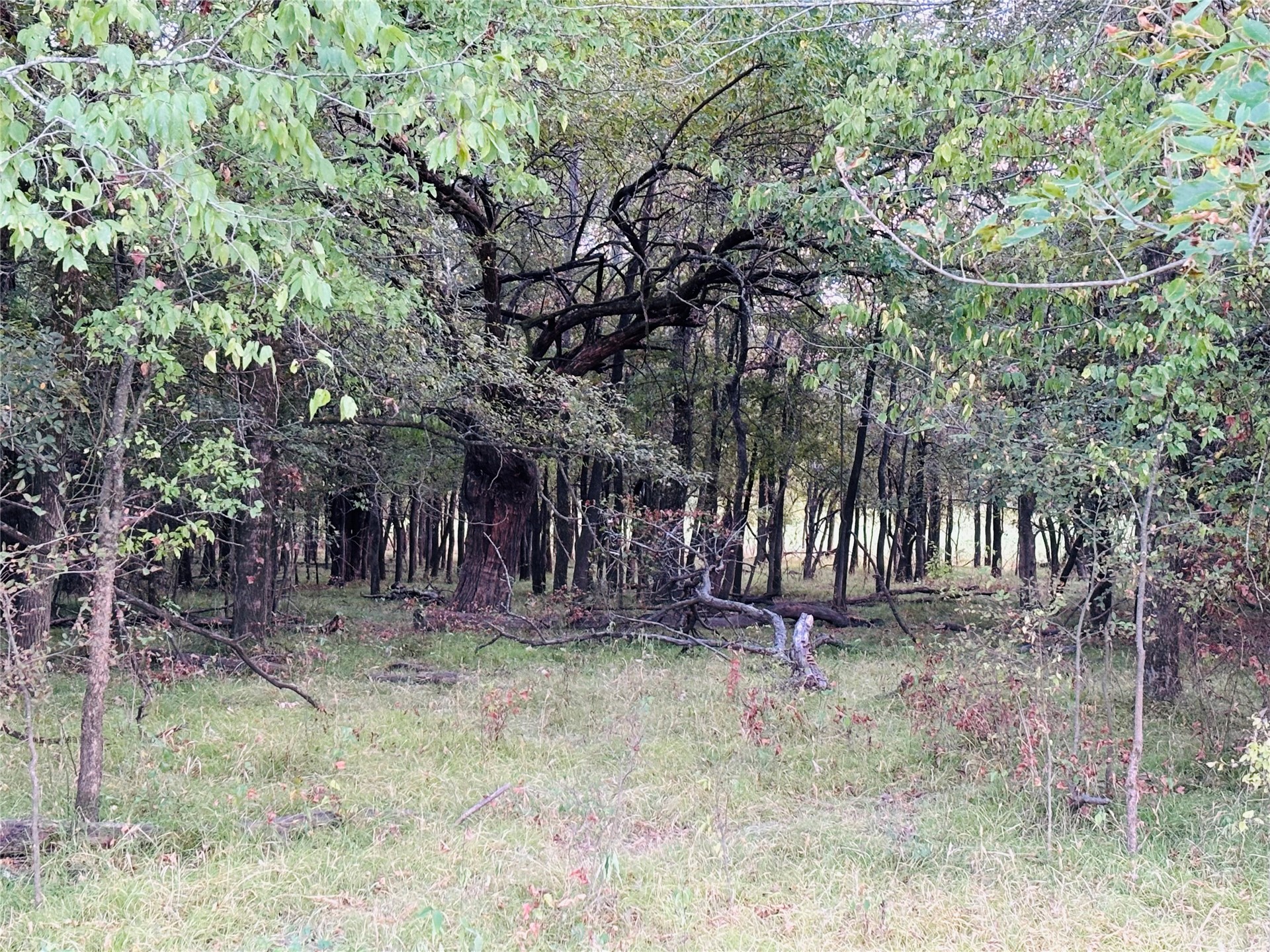 166 N 4084 Road Property Photo 31