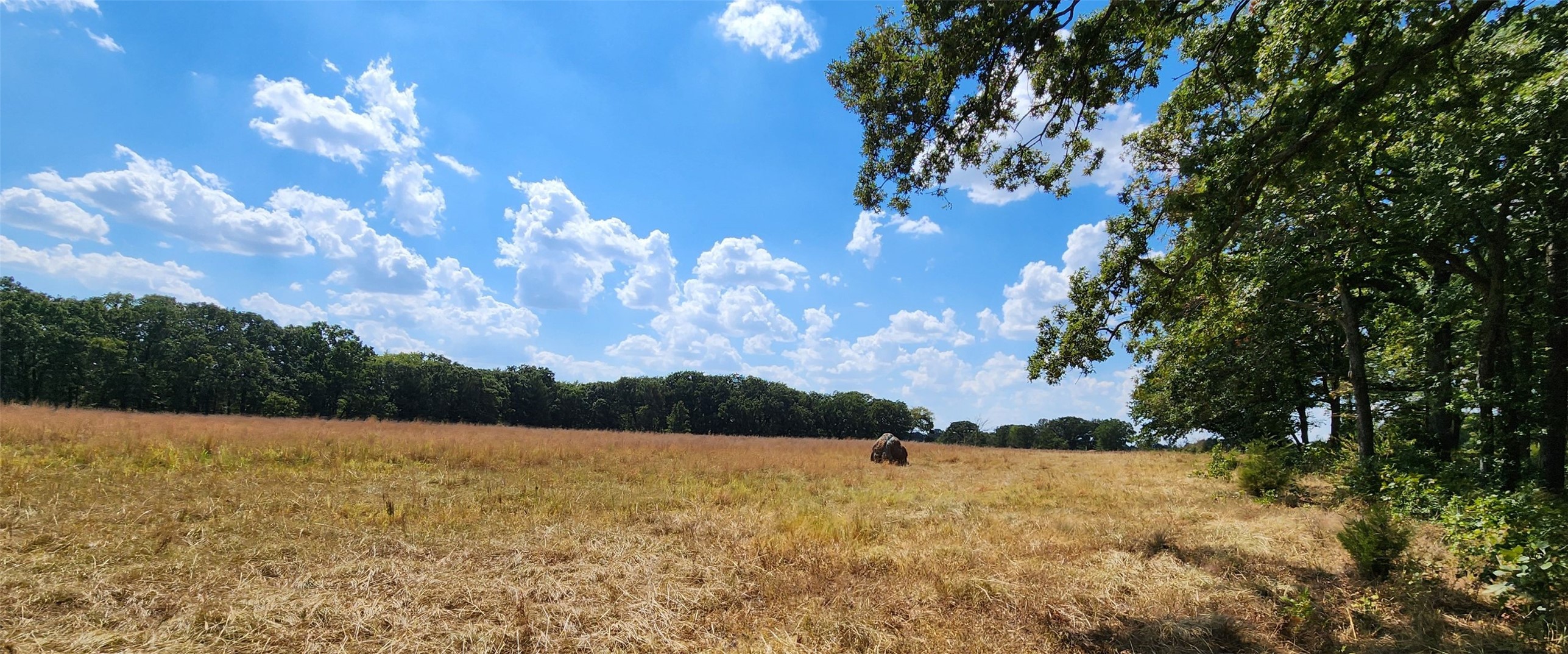 Arnett Road Property Photo 2