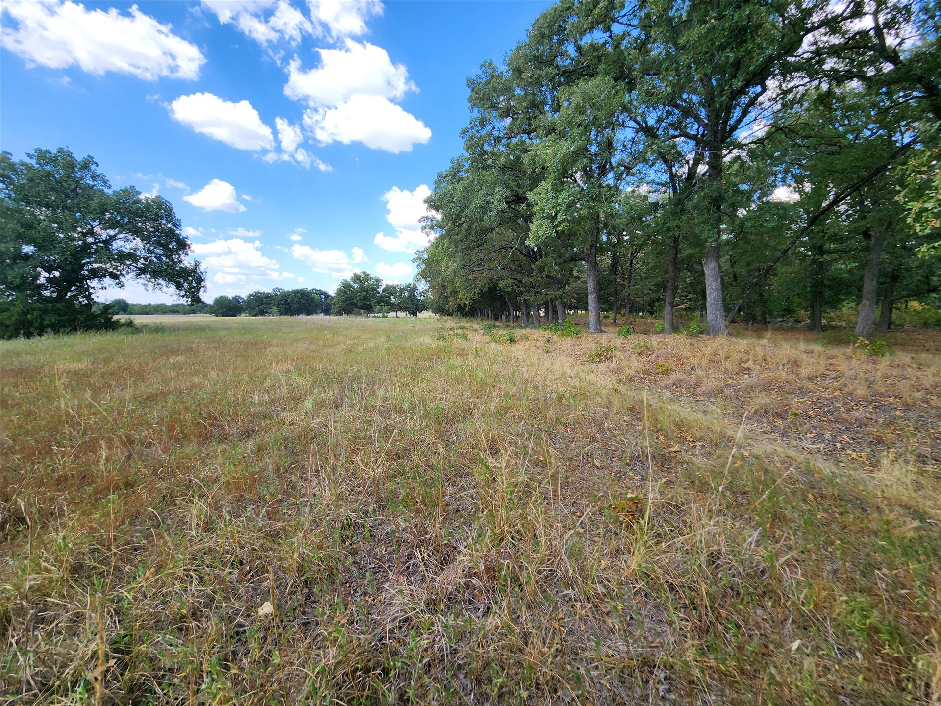 Arnett Road Property Photo 3