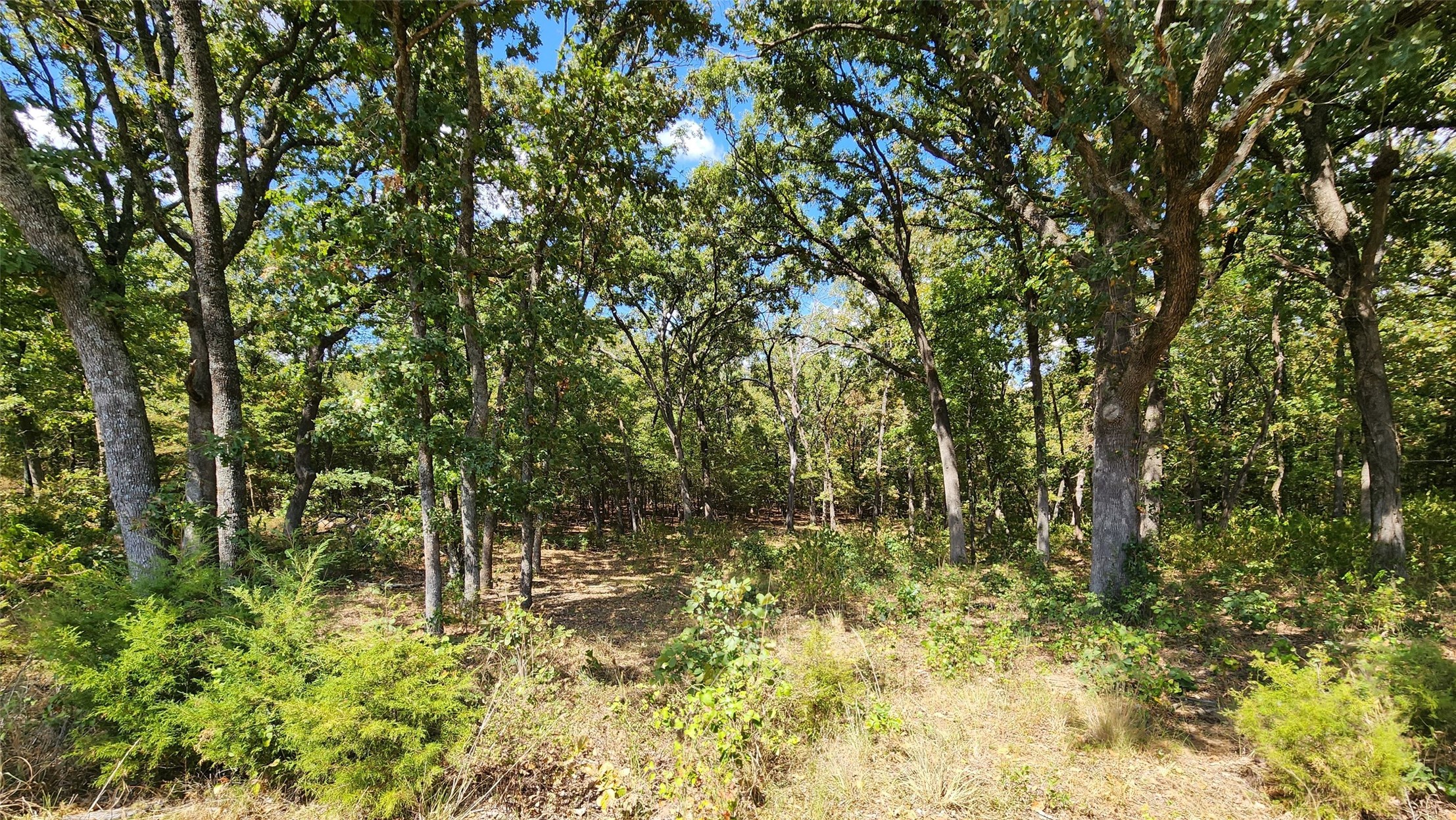 Arnett Road Property Photo 7