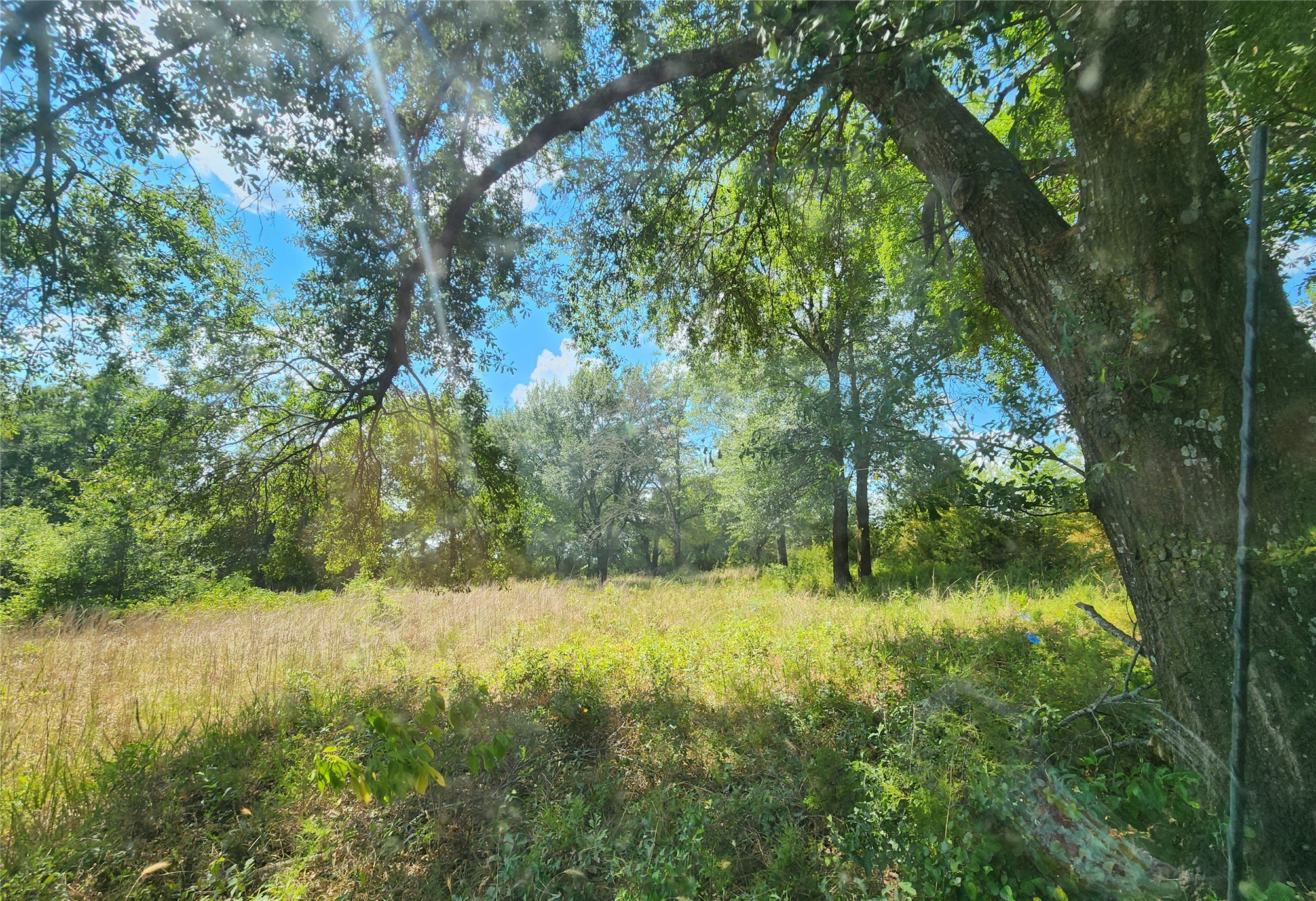 Arnett Road Property Photo 10