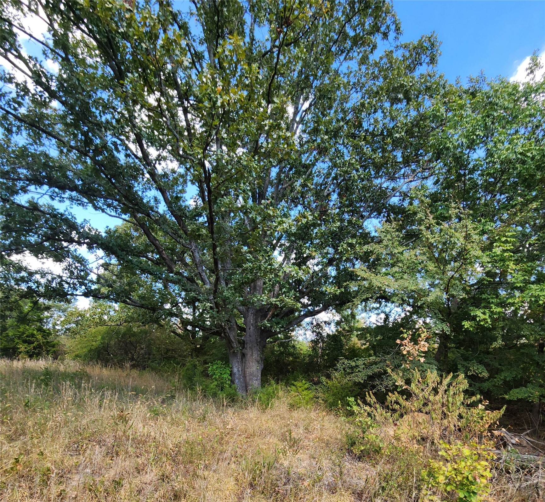 Arnett Road Property Photo 12