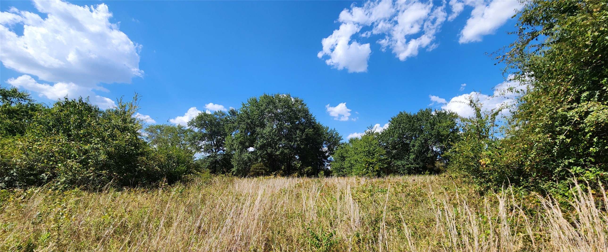 Arnett Road Property Photo 13