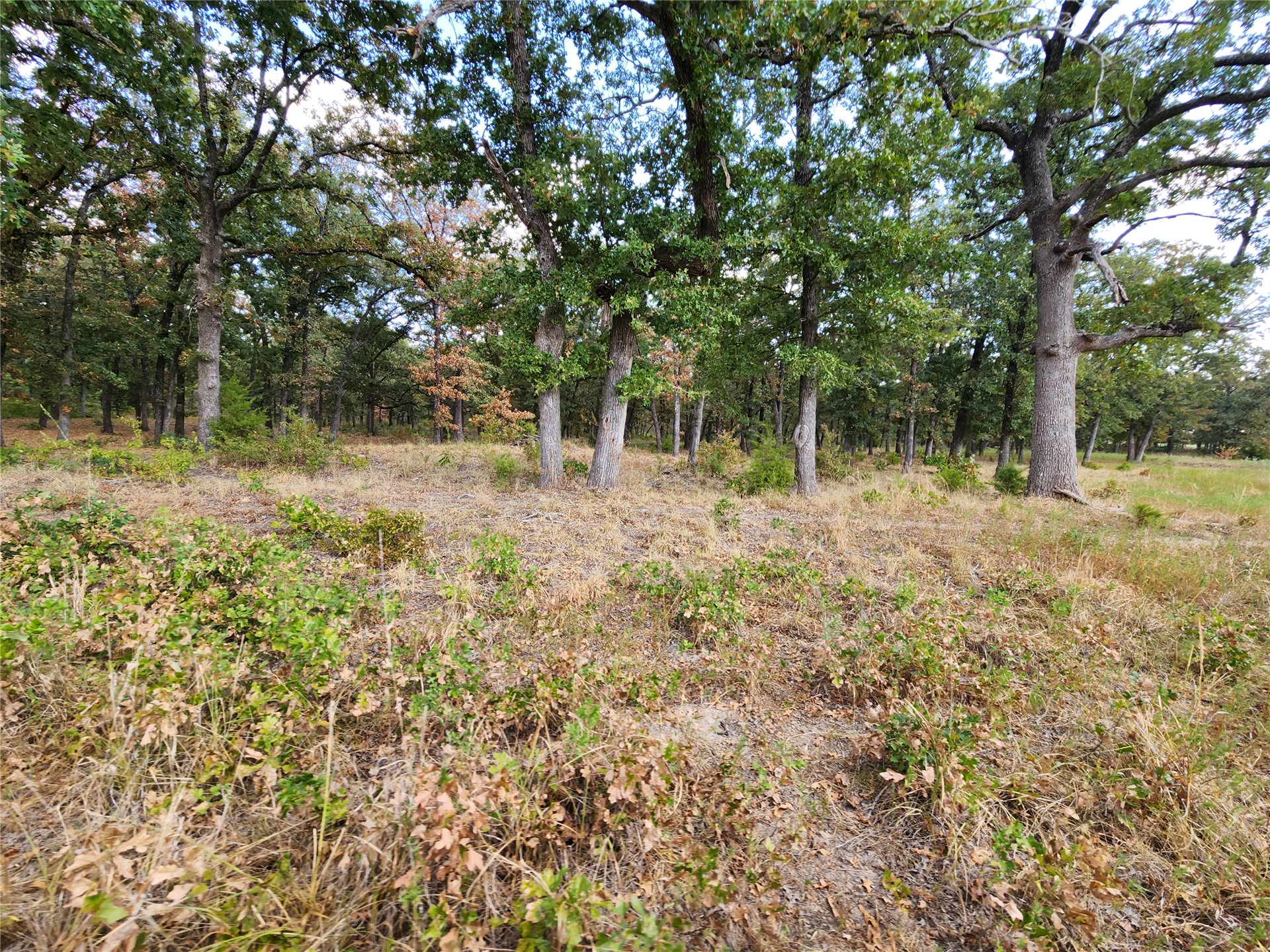 Arnett Road Property Photo 17