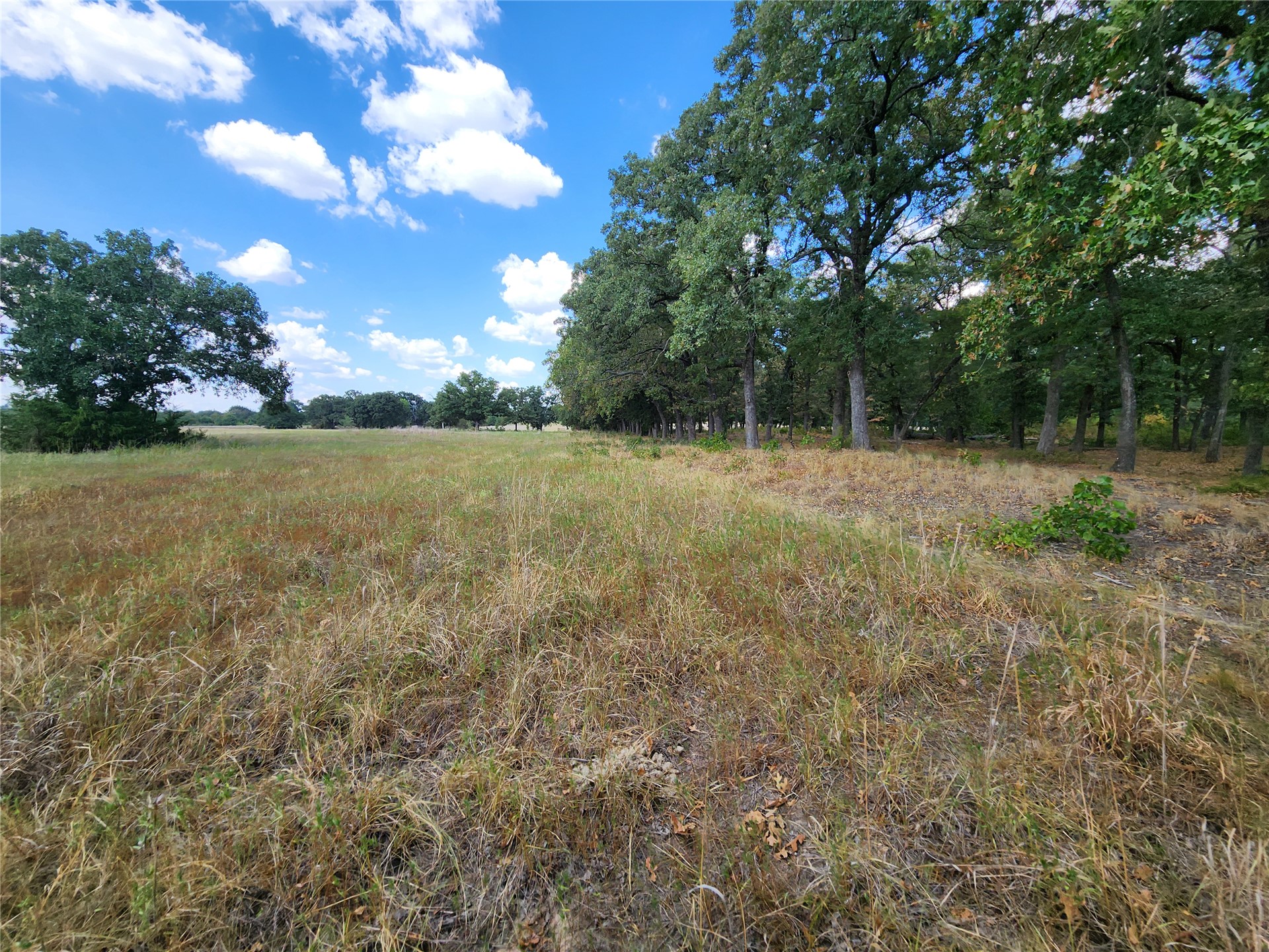 Arnett Road Property Photo 18