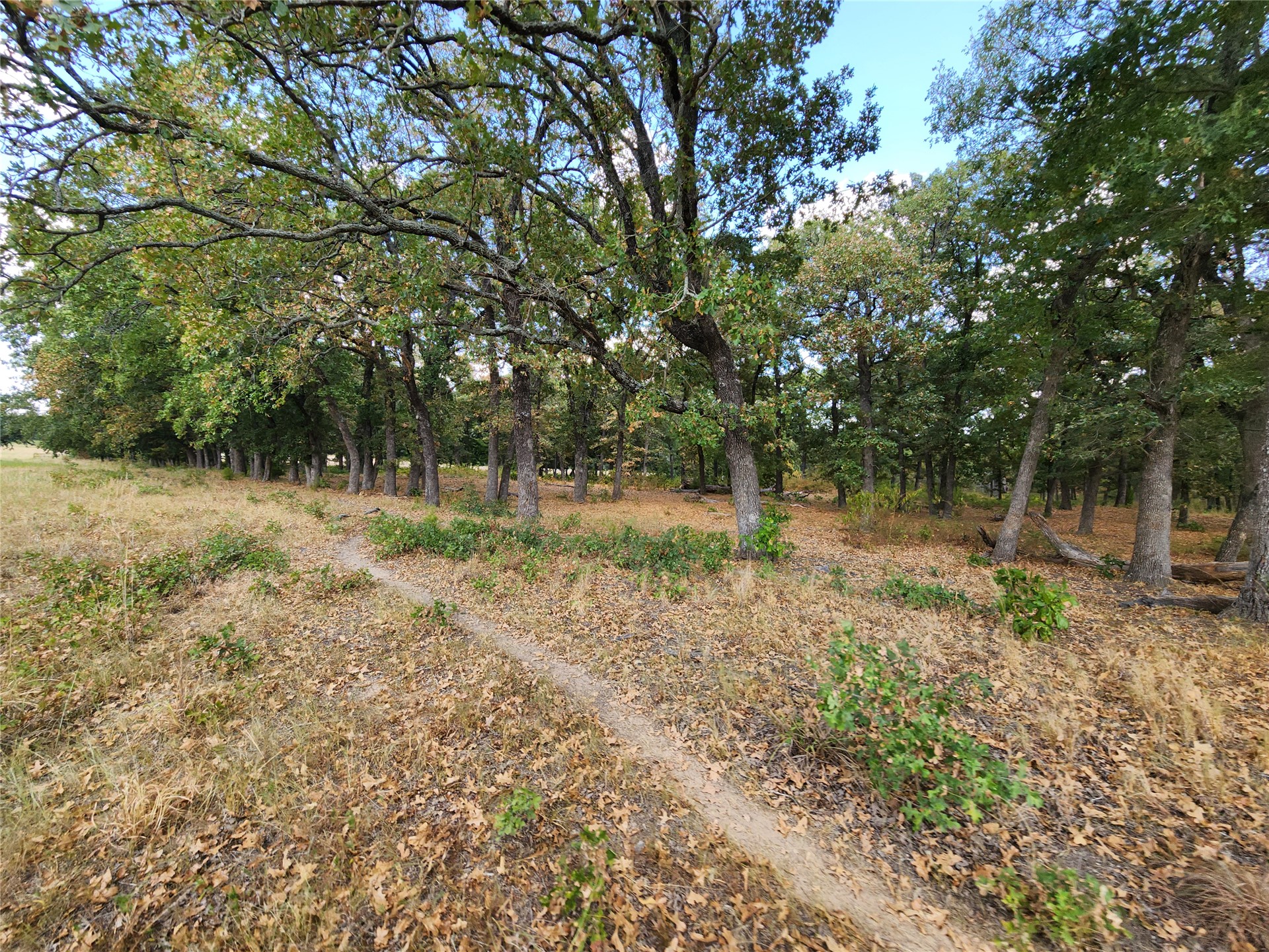 Arnett Road Property Photo 19