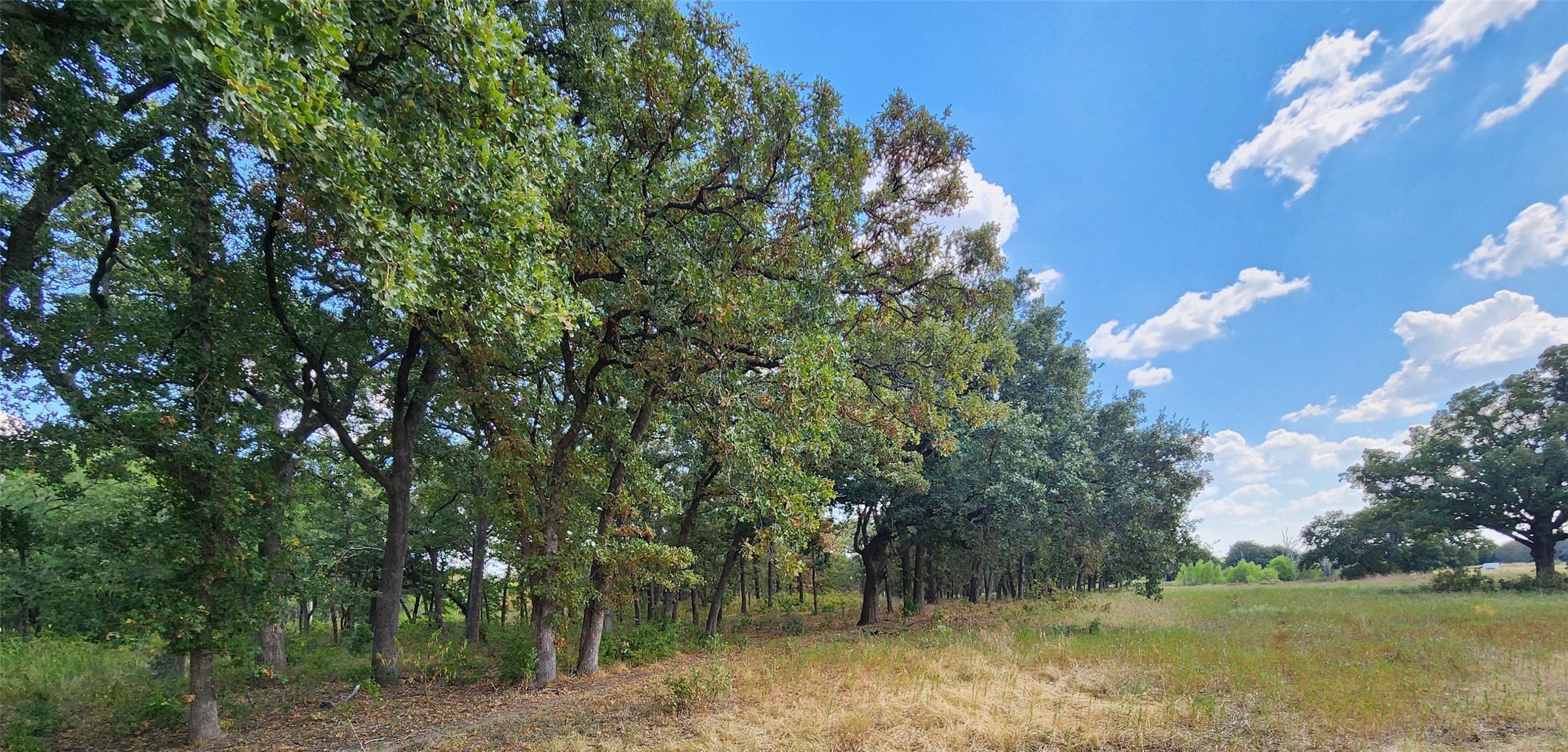 Arnett Road Property Photo 20