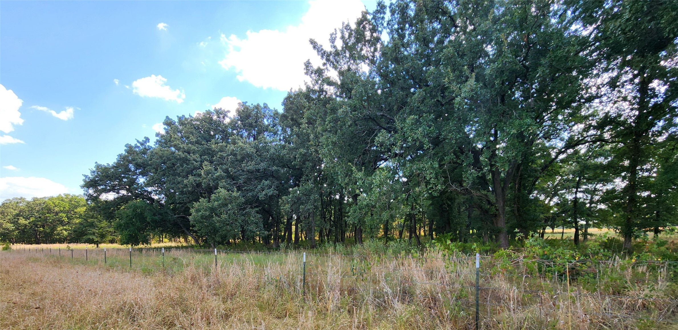 Arnett Road Property Photo 24
