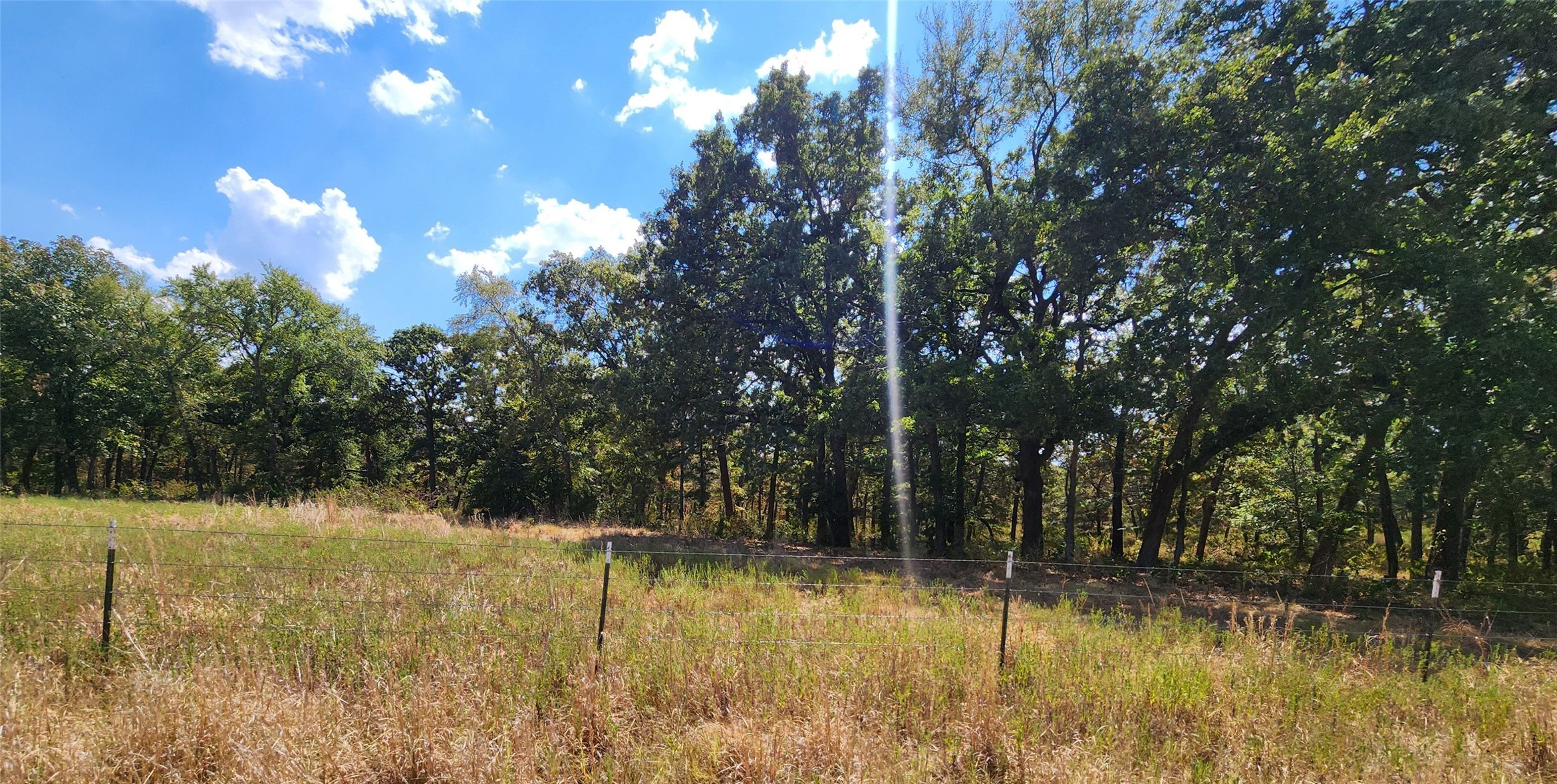 Arnett Road Property Photo 28