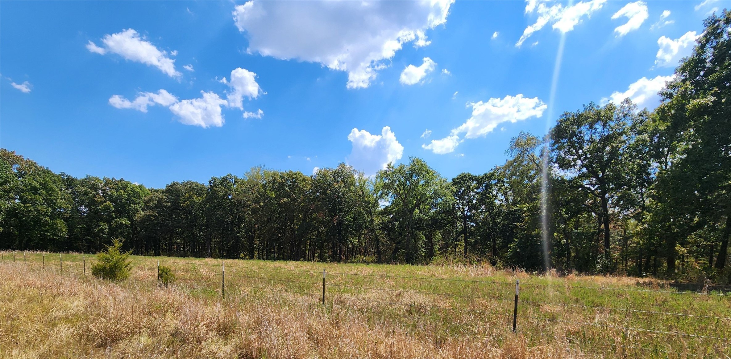 Arnett Road Property Photo 29