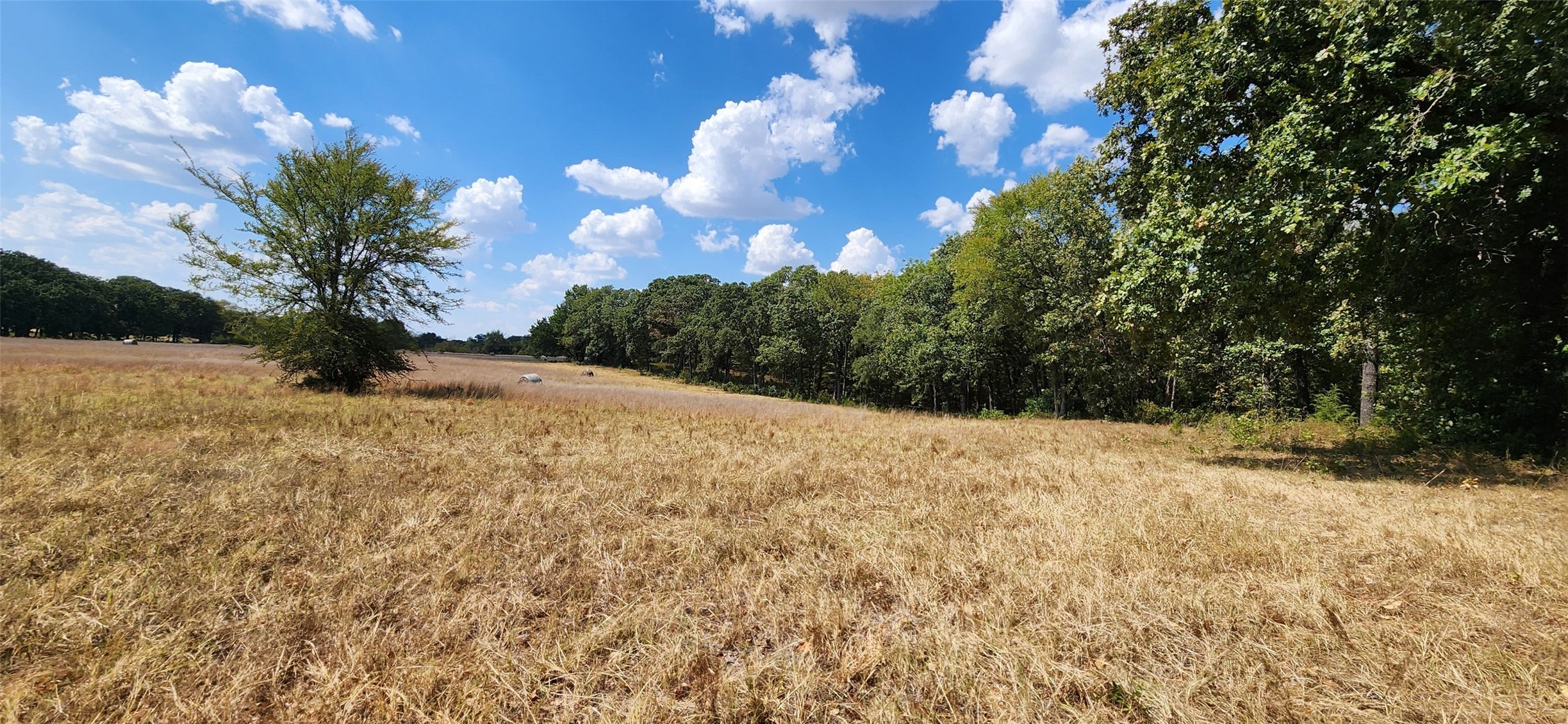 Arnett Road Property Photo 30
