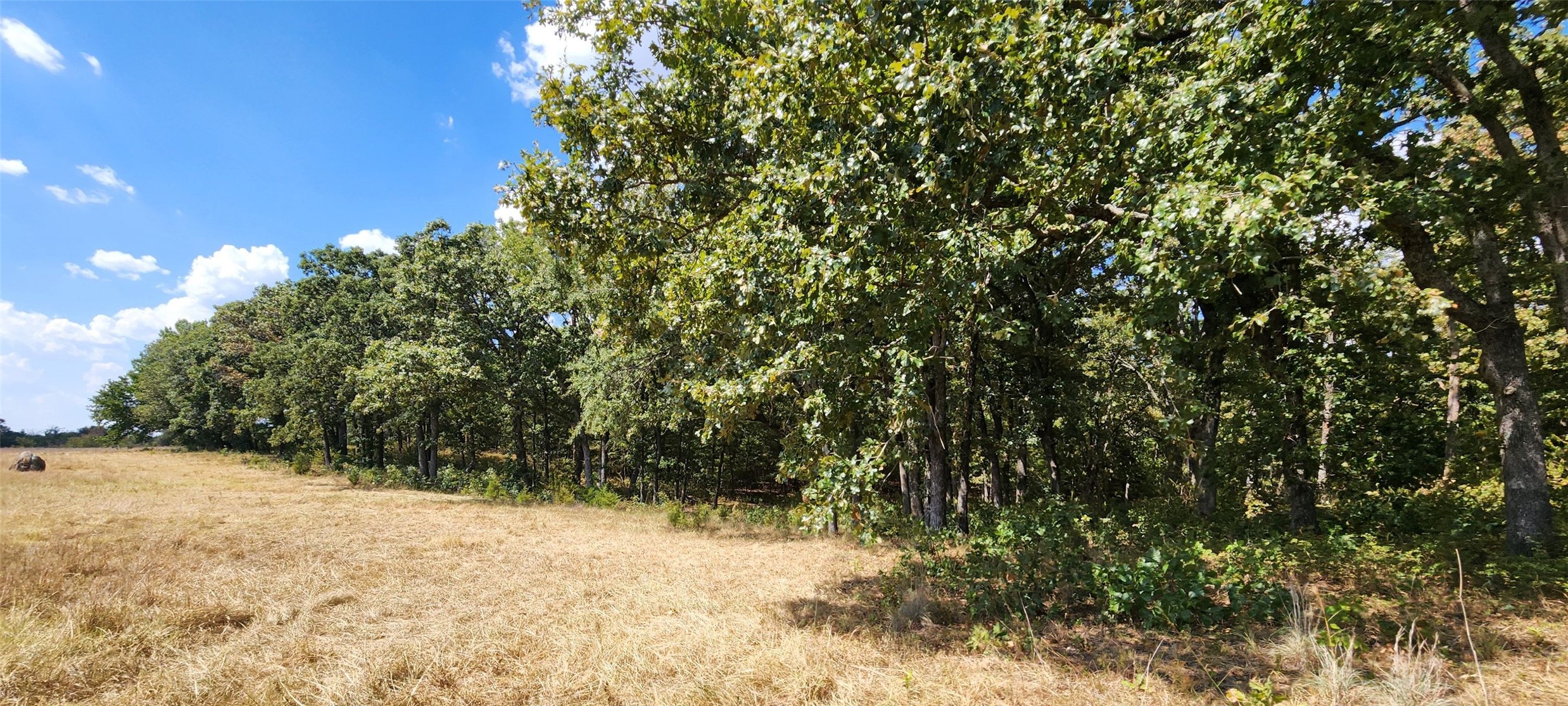 Arnett Road Property Photo 31