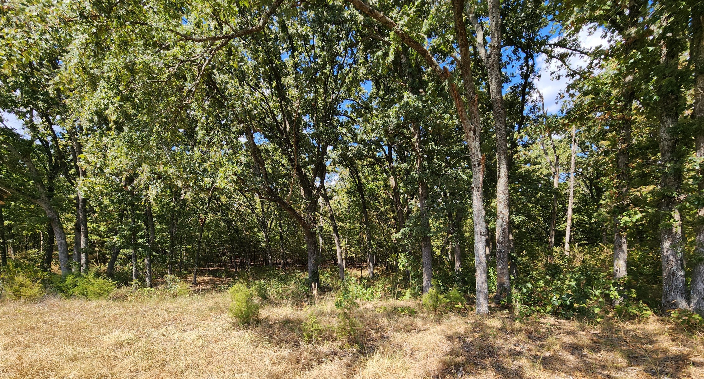 Arnett Road Property Photo 32