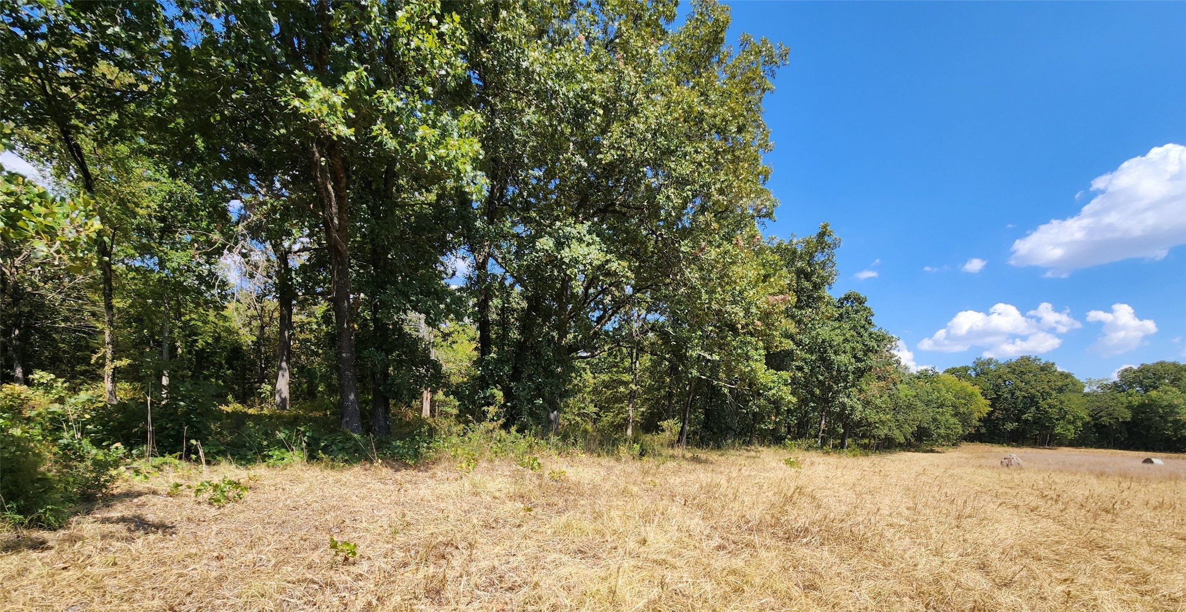 Arnett Road Property Photo 34