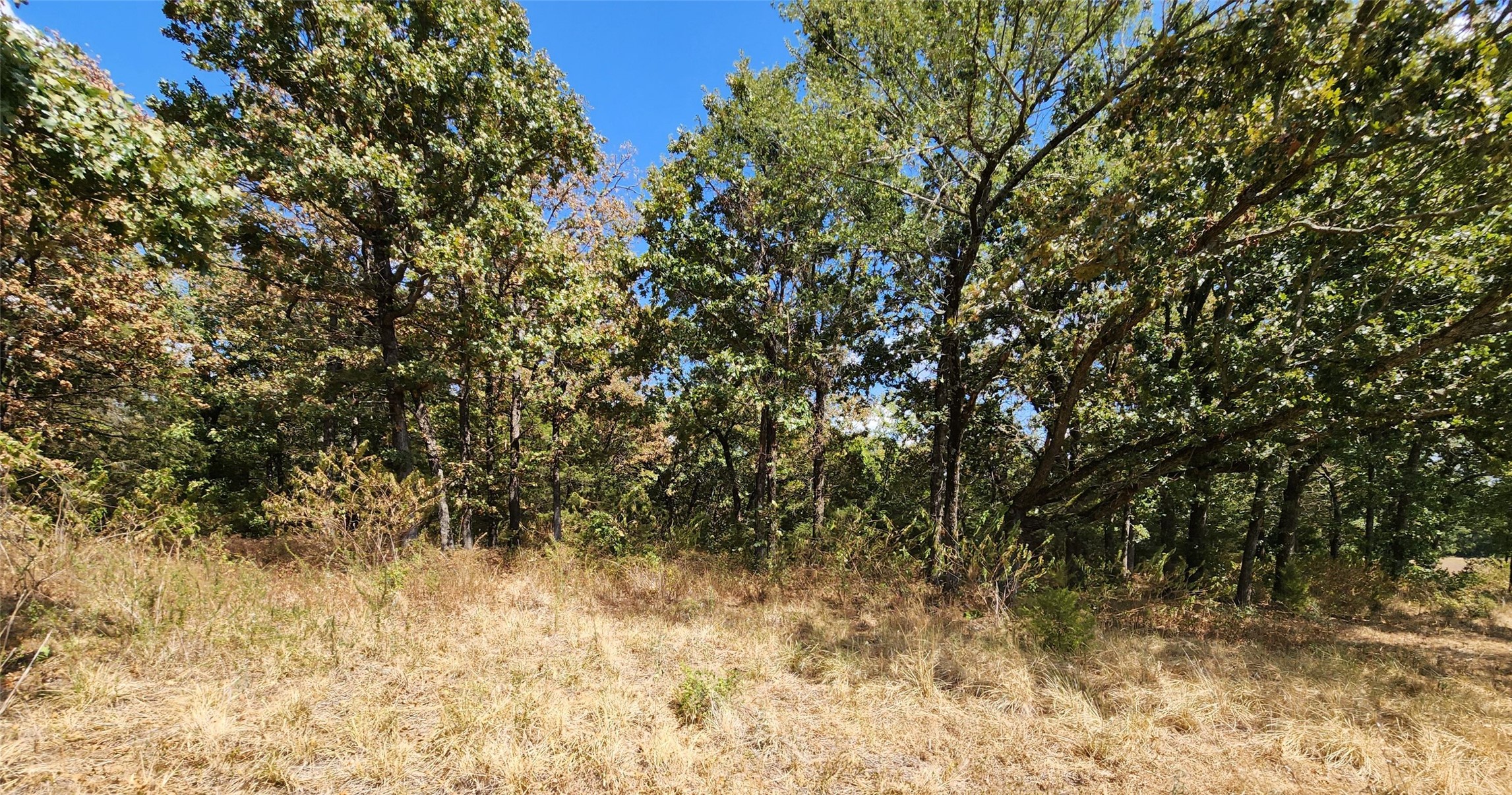 Arnett Road Property Photo 35