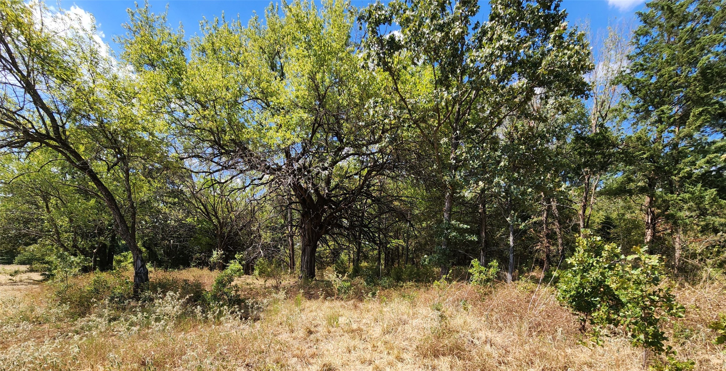 Arnett Road Property Photo 36