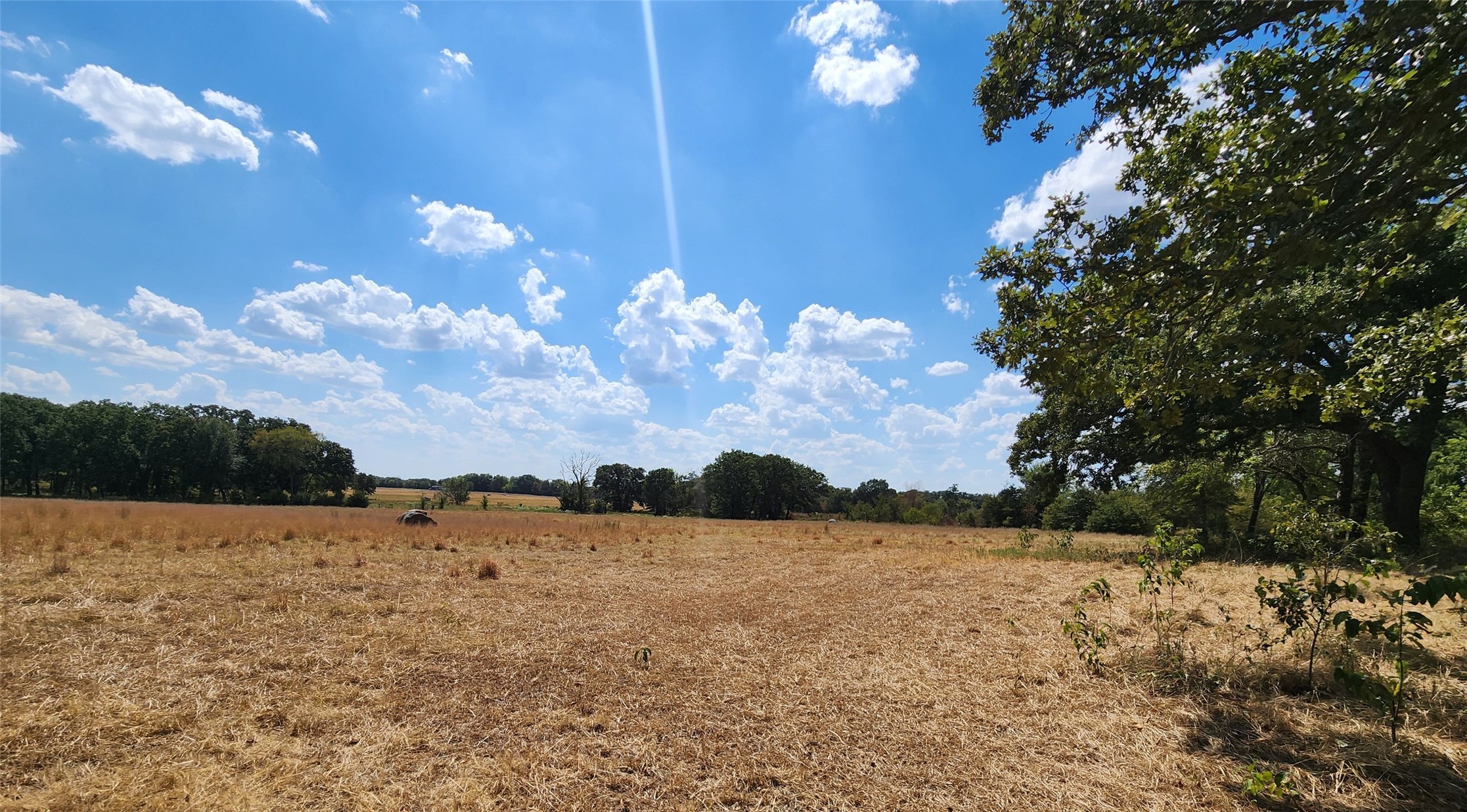 Arnett Road Property Photo 37