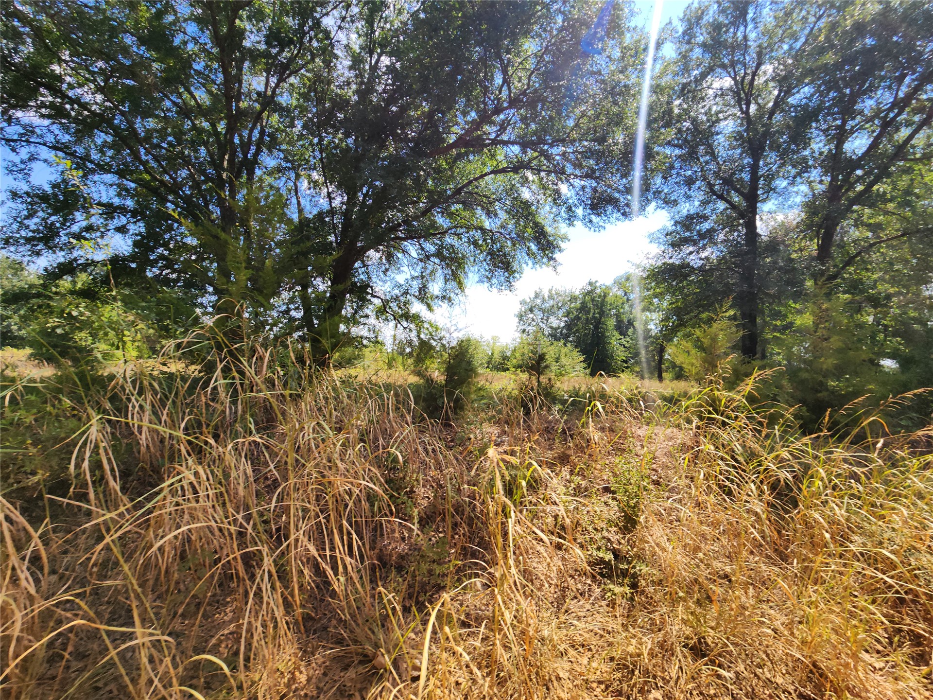 Arnett Road Property Photo 43