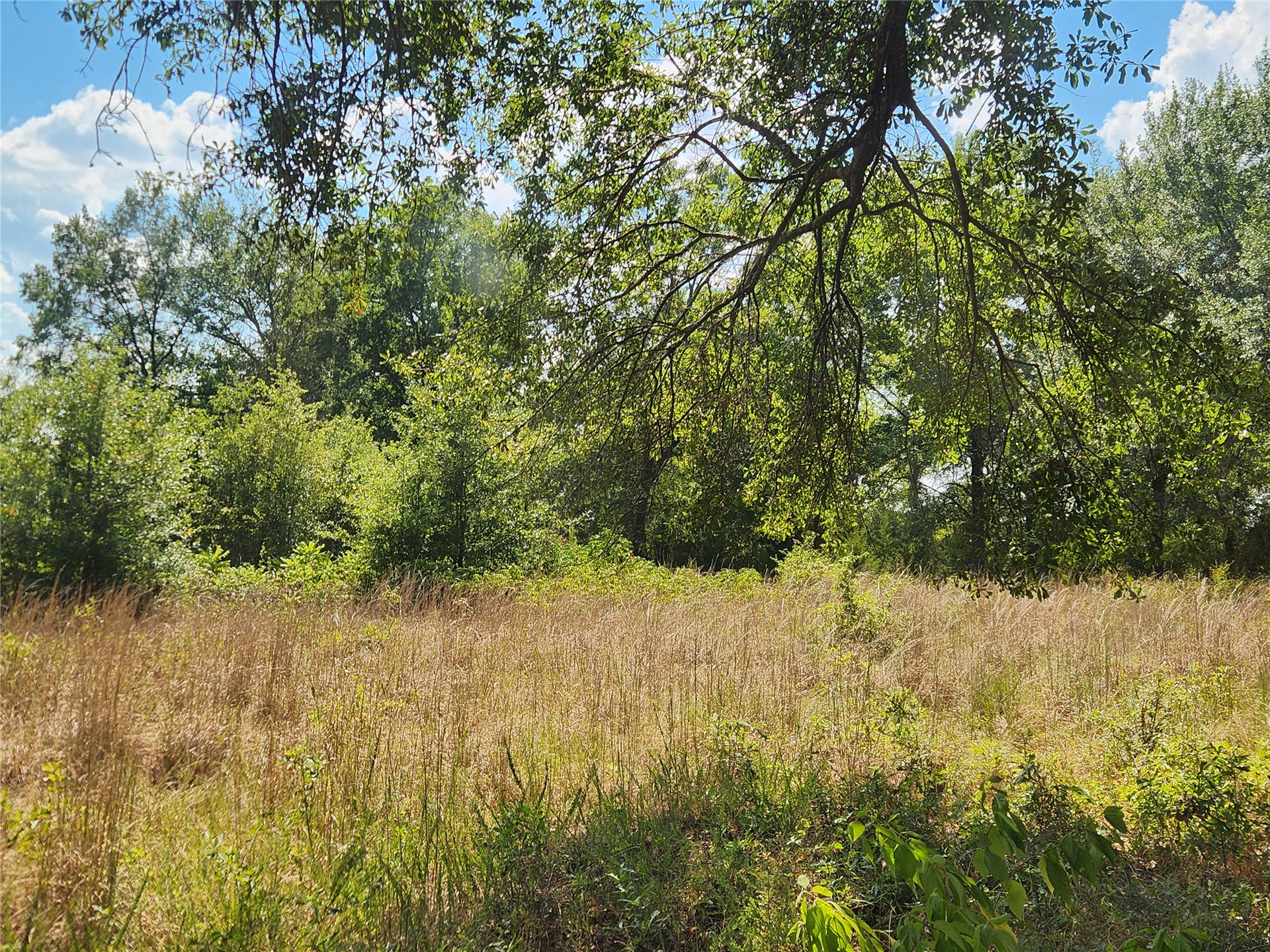 Arnett Road Property Photo 50