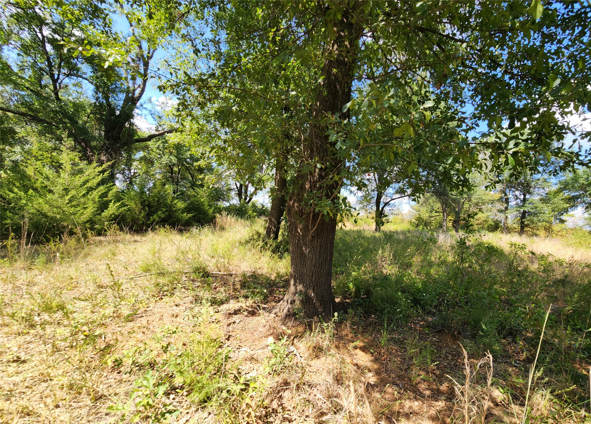 Arnett Road Property Photo 51