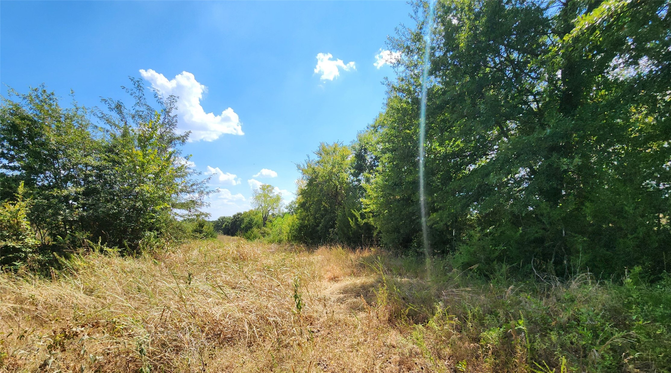 Arnett Road Property Photo 53