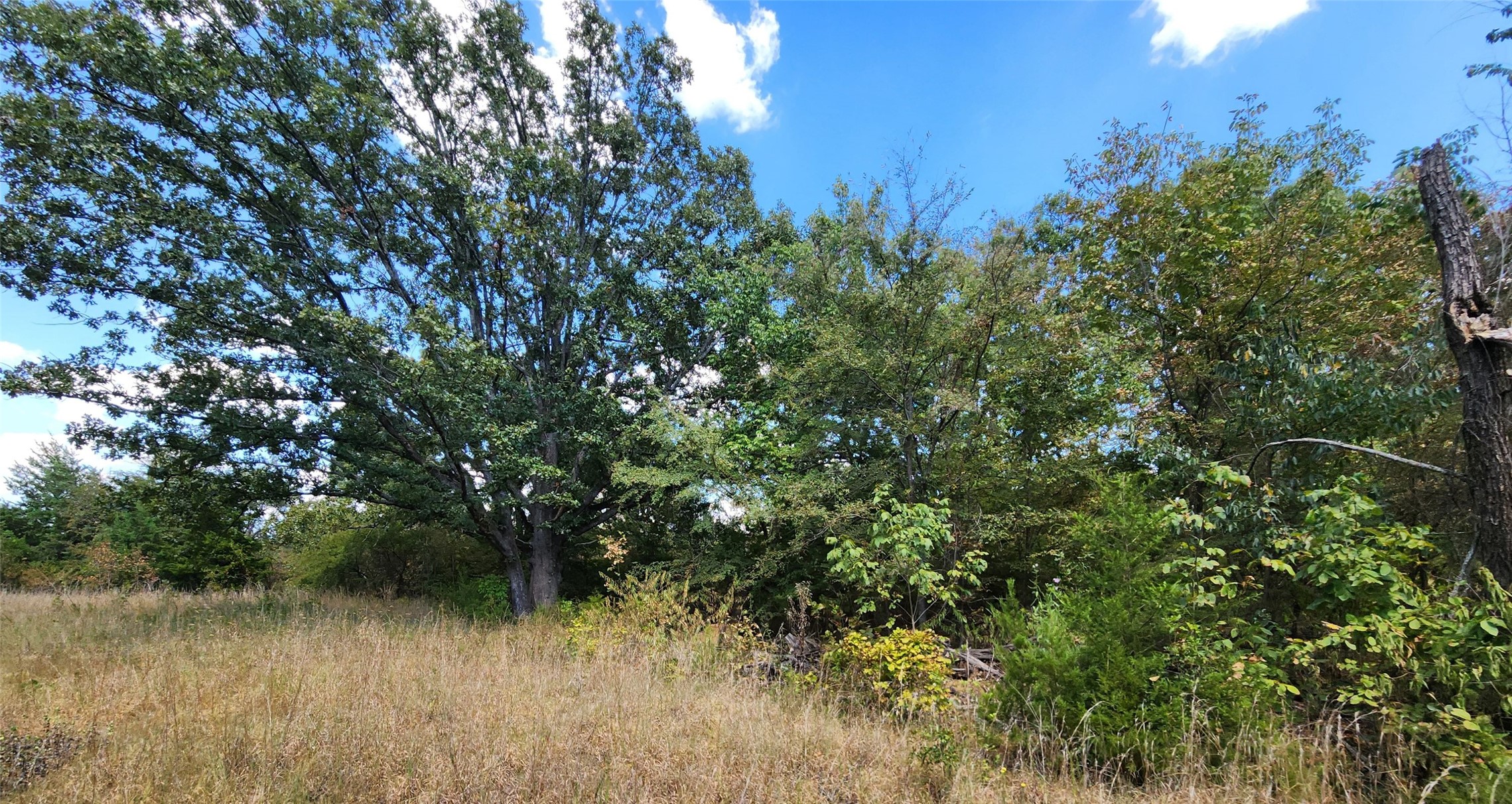 Arnett Road Property Photo 58