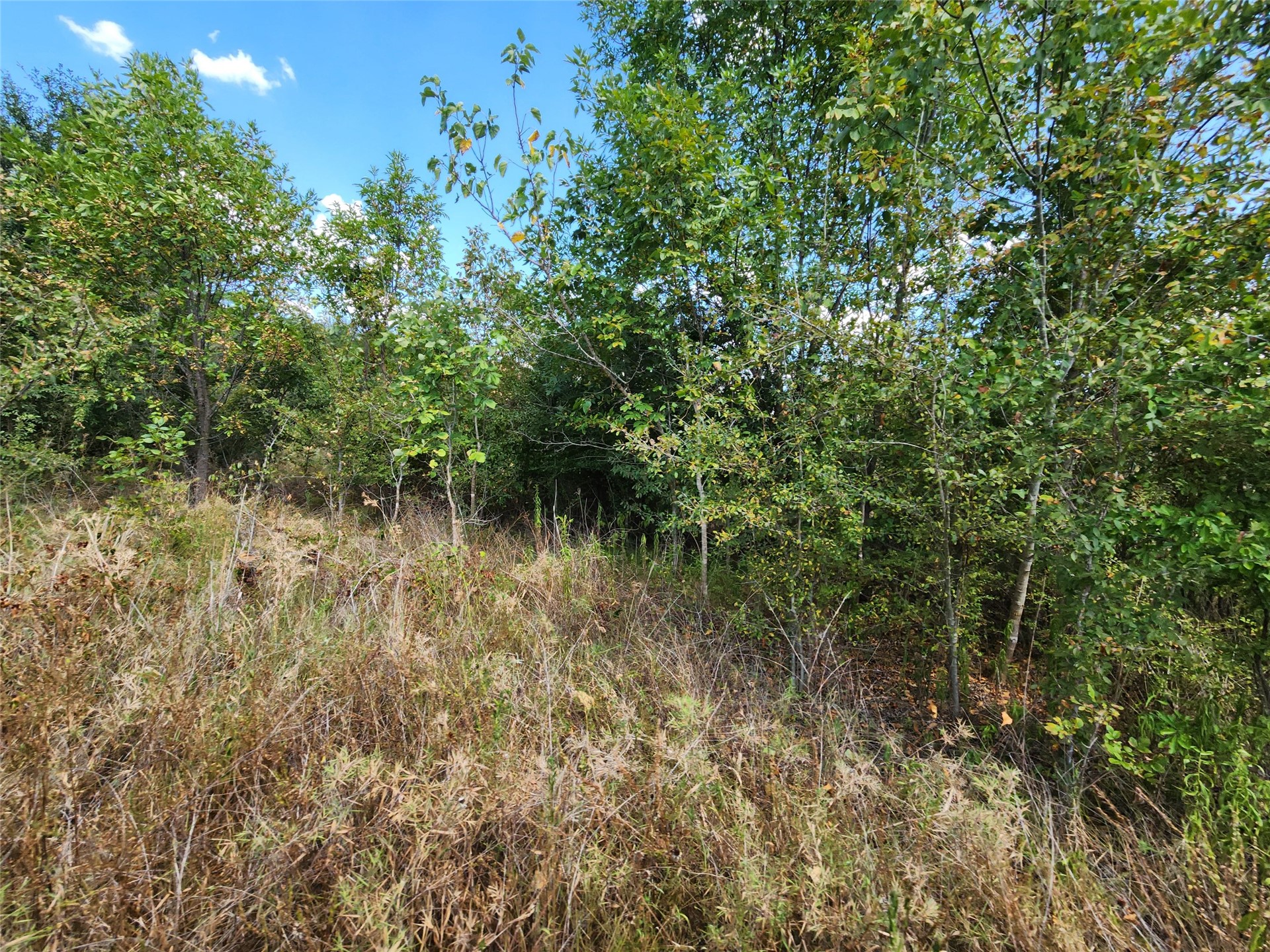 Arnett Road Property Photo 59