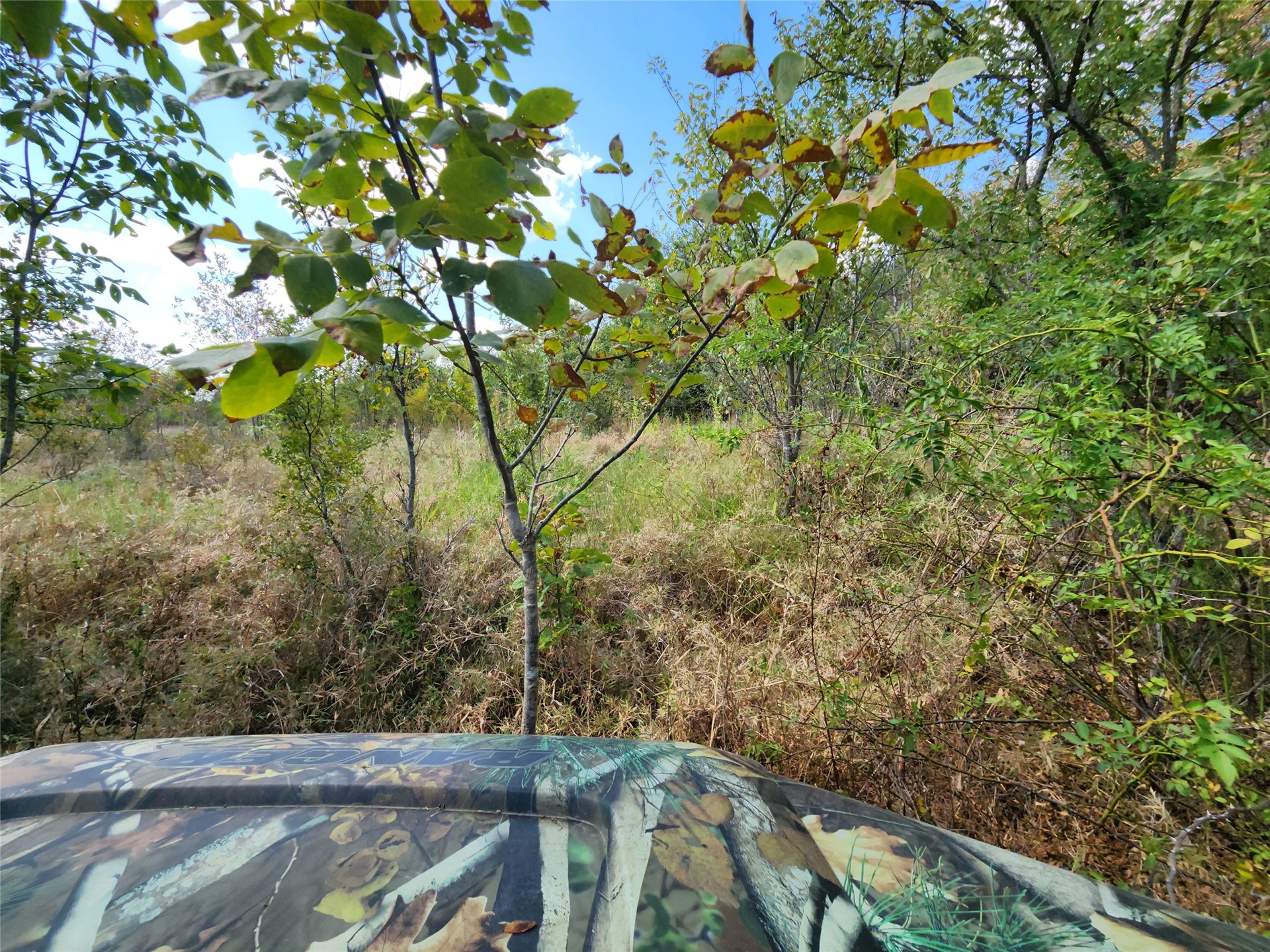 Arnett Road Property Photo 60
