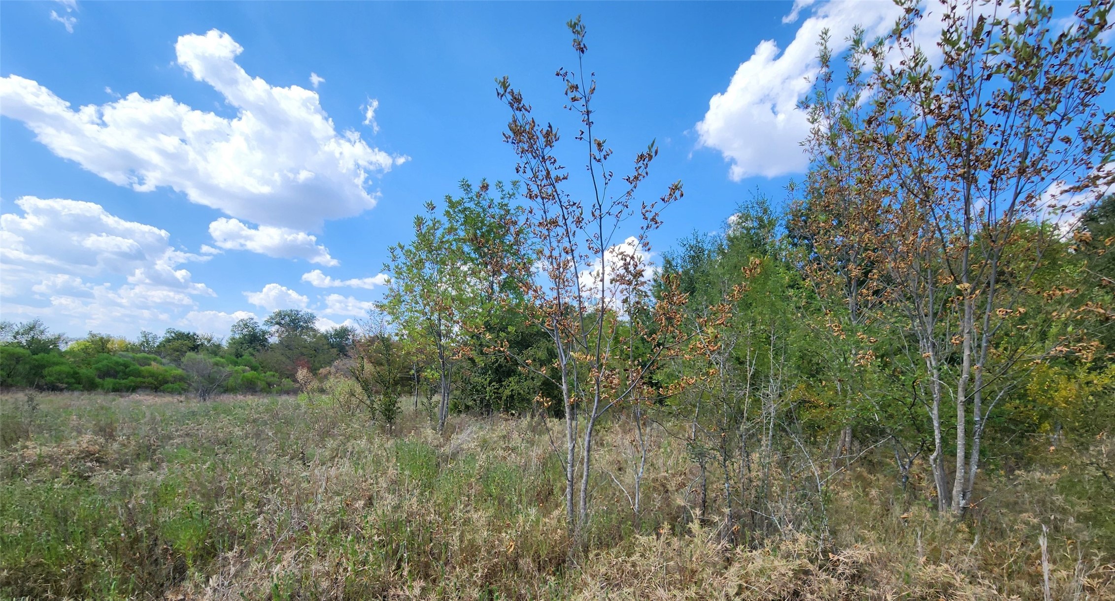 Arnett Road Property Photo 61