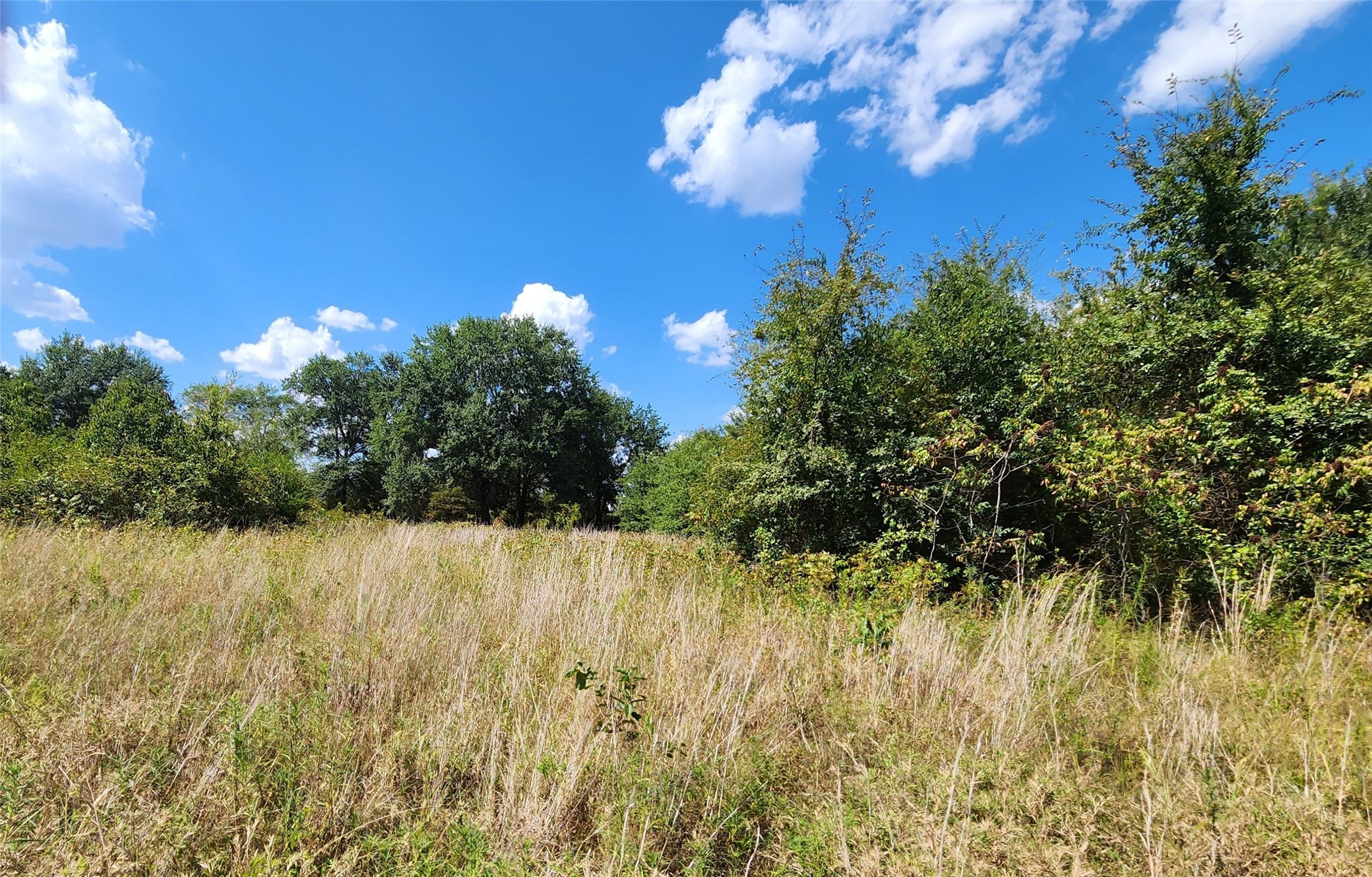 Arnett Road Property Photo 64