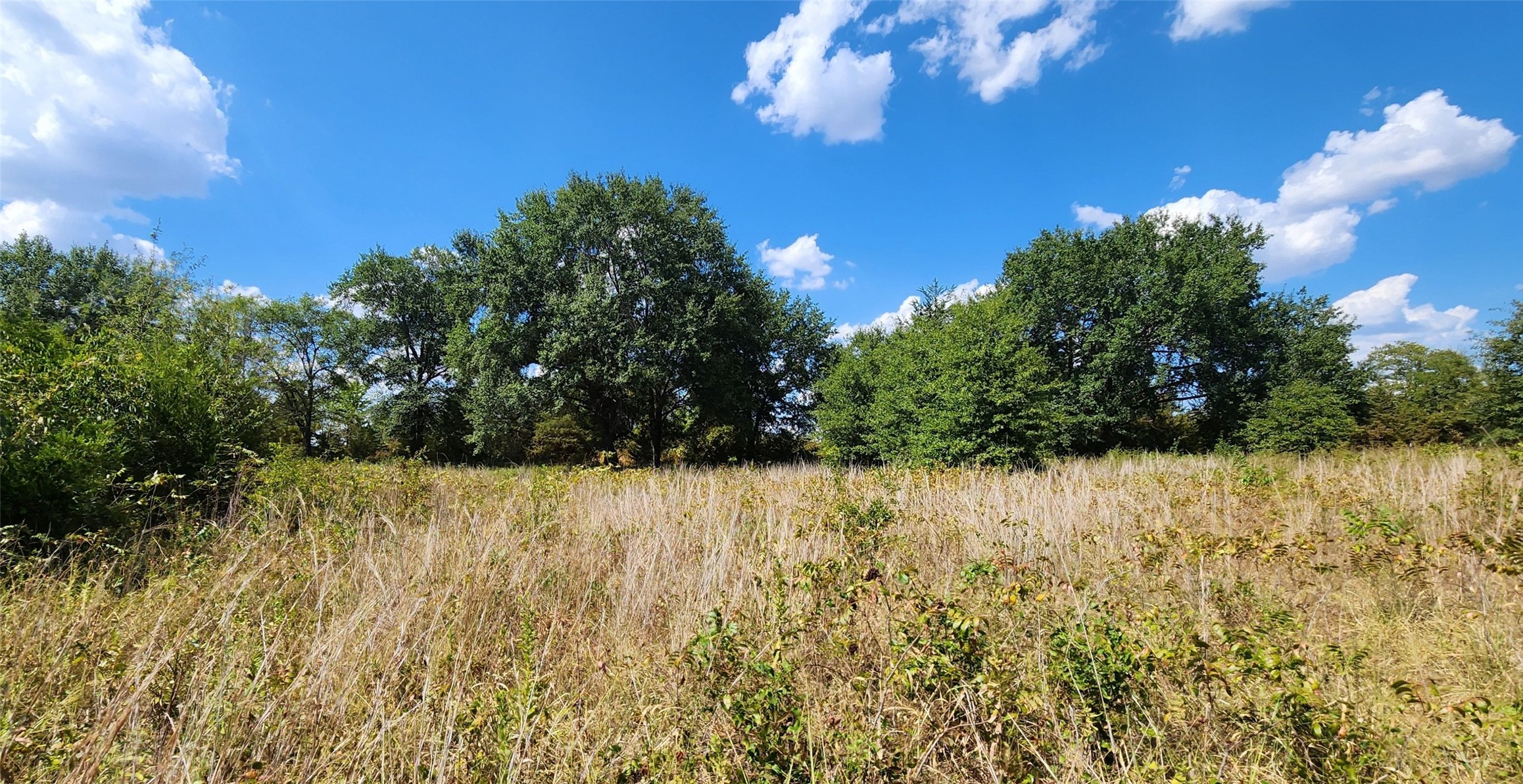 Arnett Road Property Photo 65