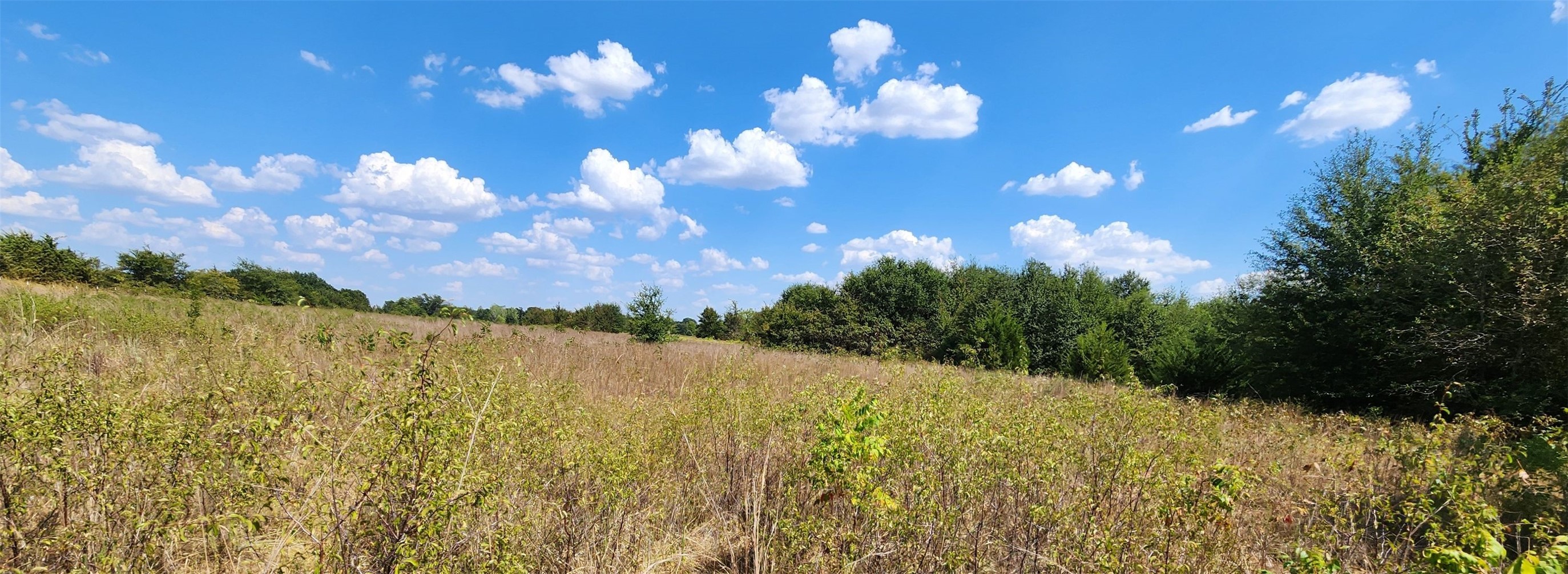 Arnett Road Property Photo 66
