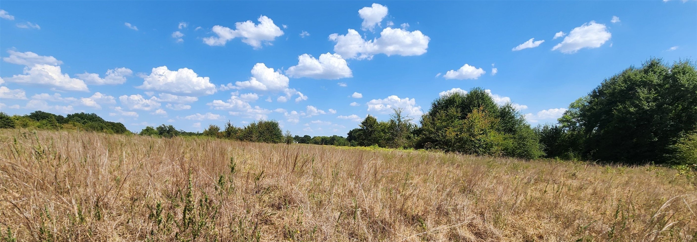 Arnett Road Property Photo 67