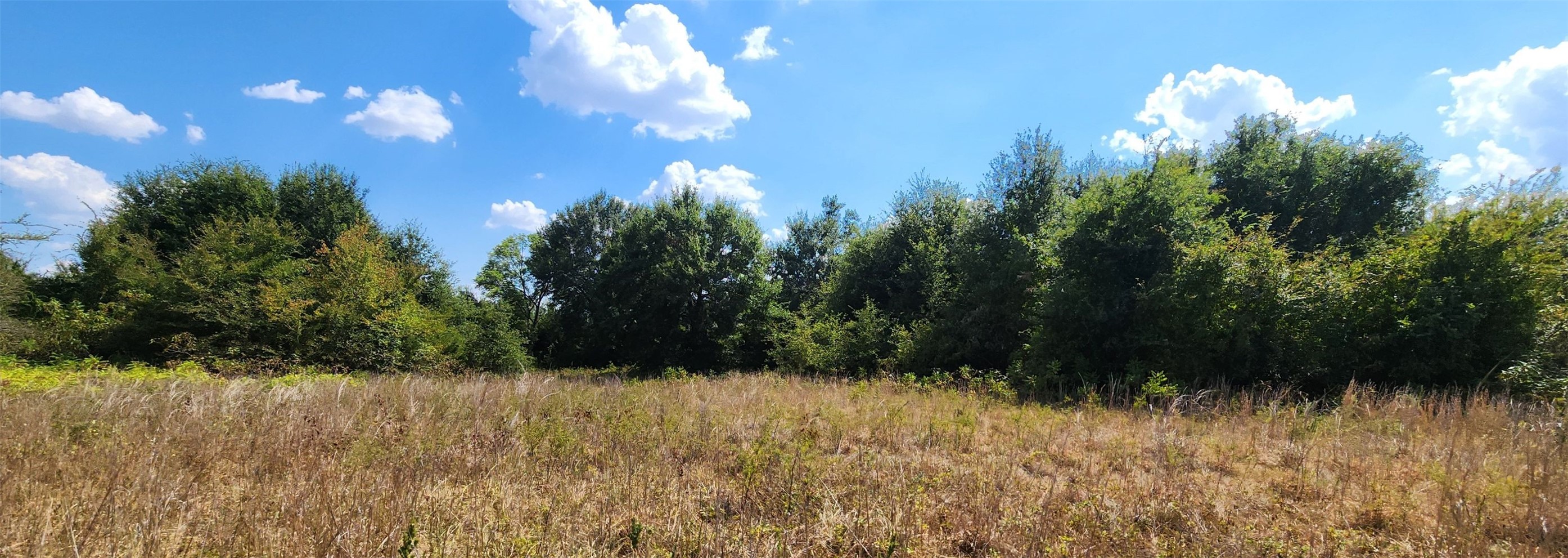 Arnett Road Property Photo 68