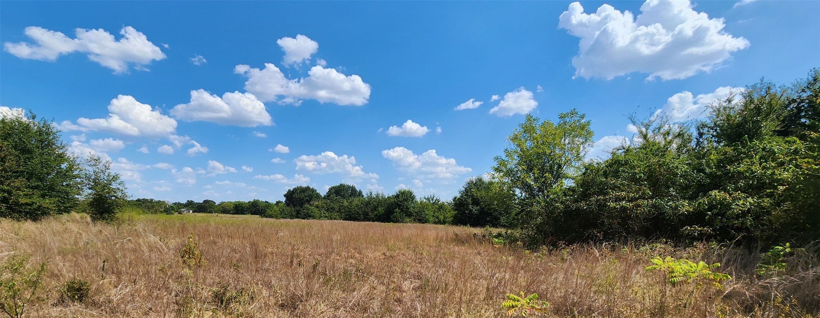Arnett Road Property Photo 69