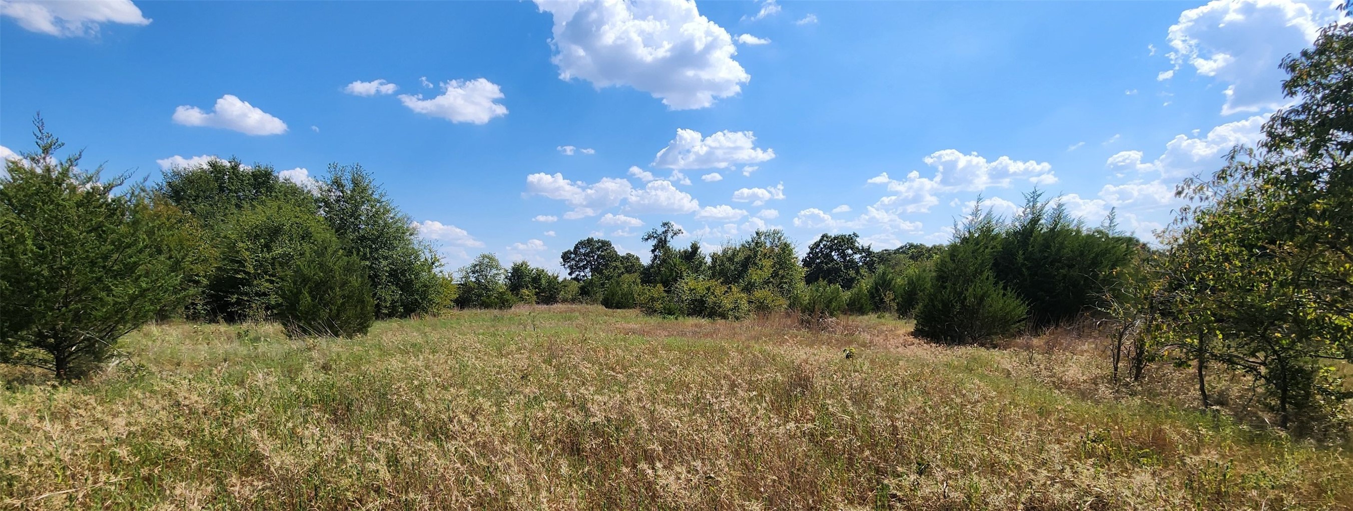 Arnett Road Property Photo 71