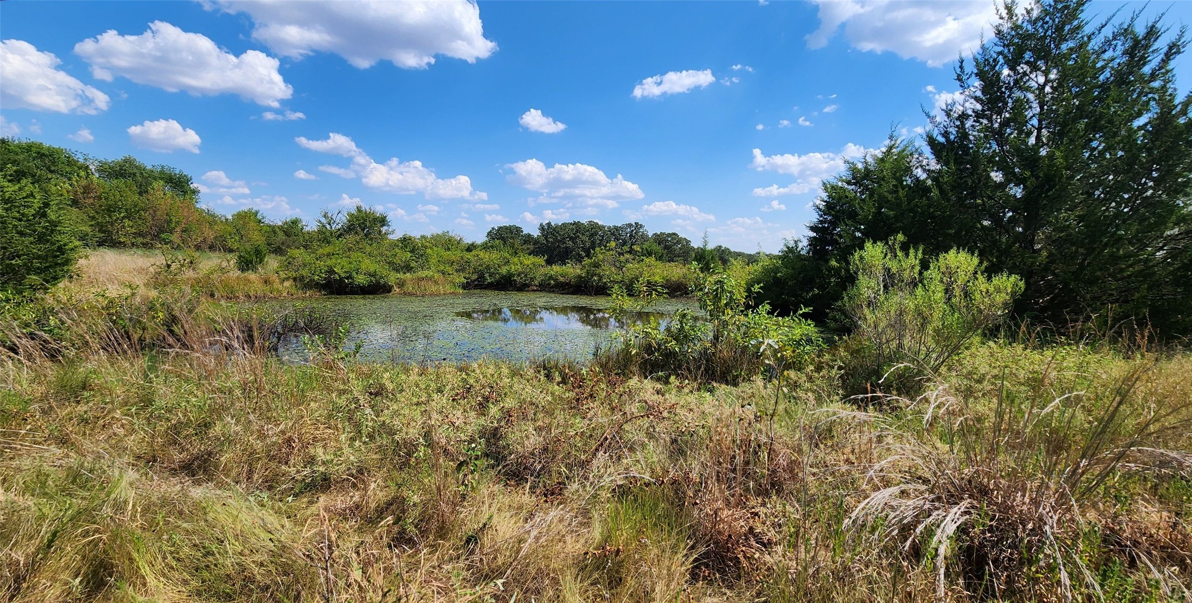 Arnett Road Property Photo 75