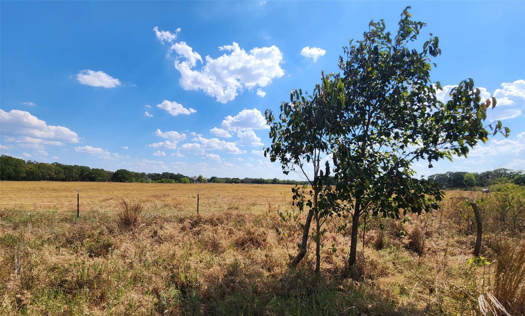 Arnett Road Property Photo 80
