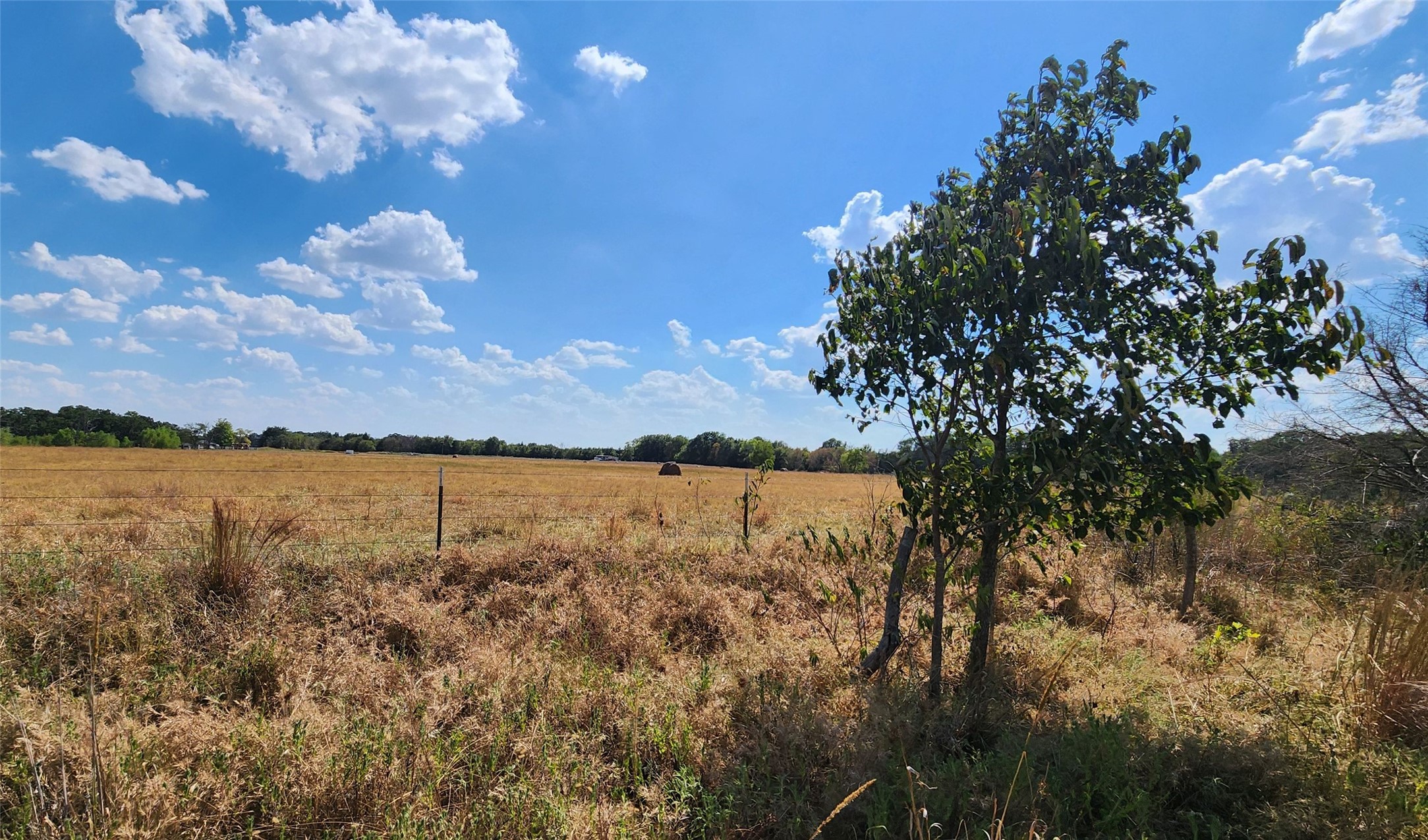 Arnett Road Property Photo 81
